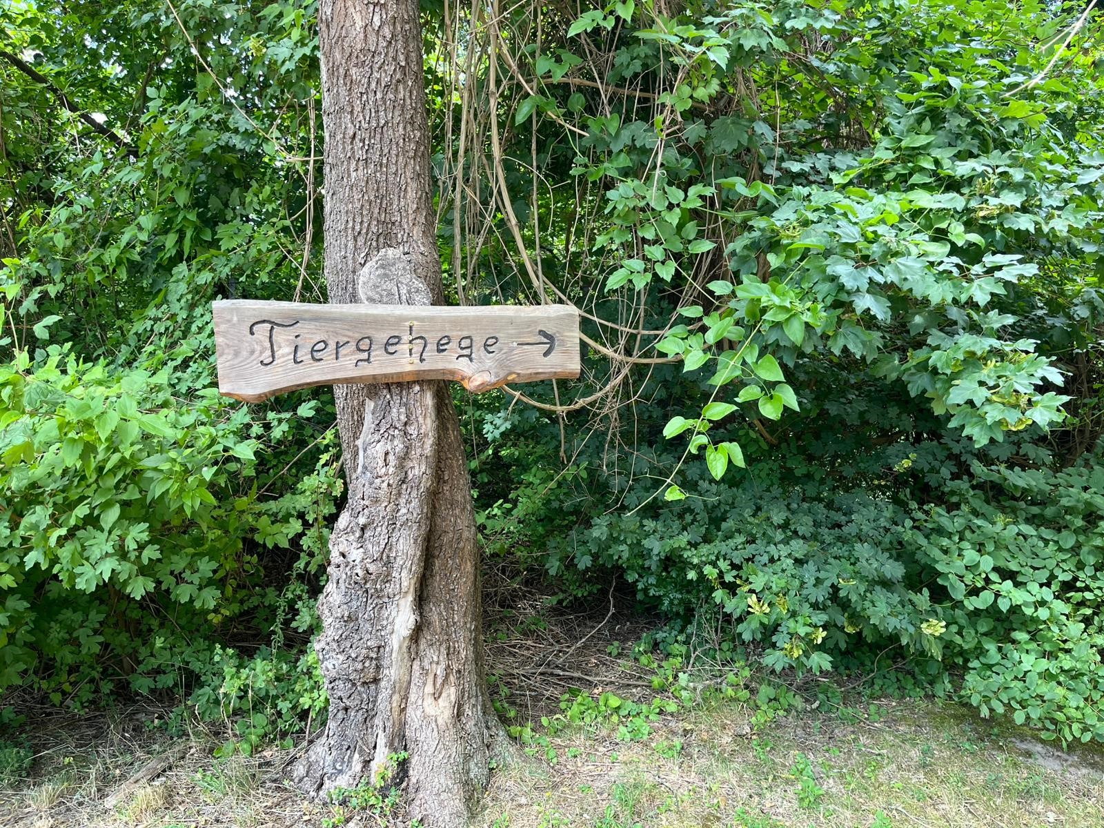 Tiergehege Wolfsburg