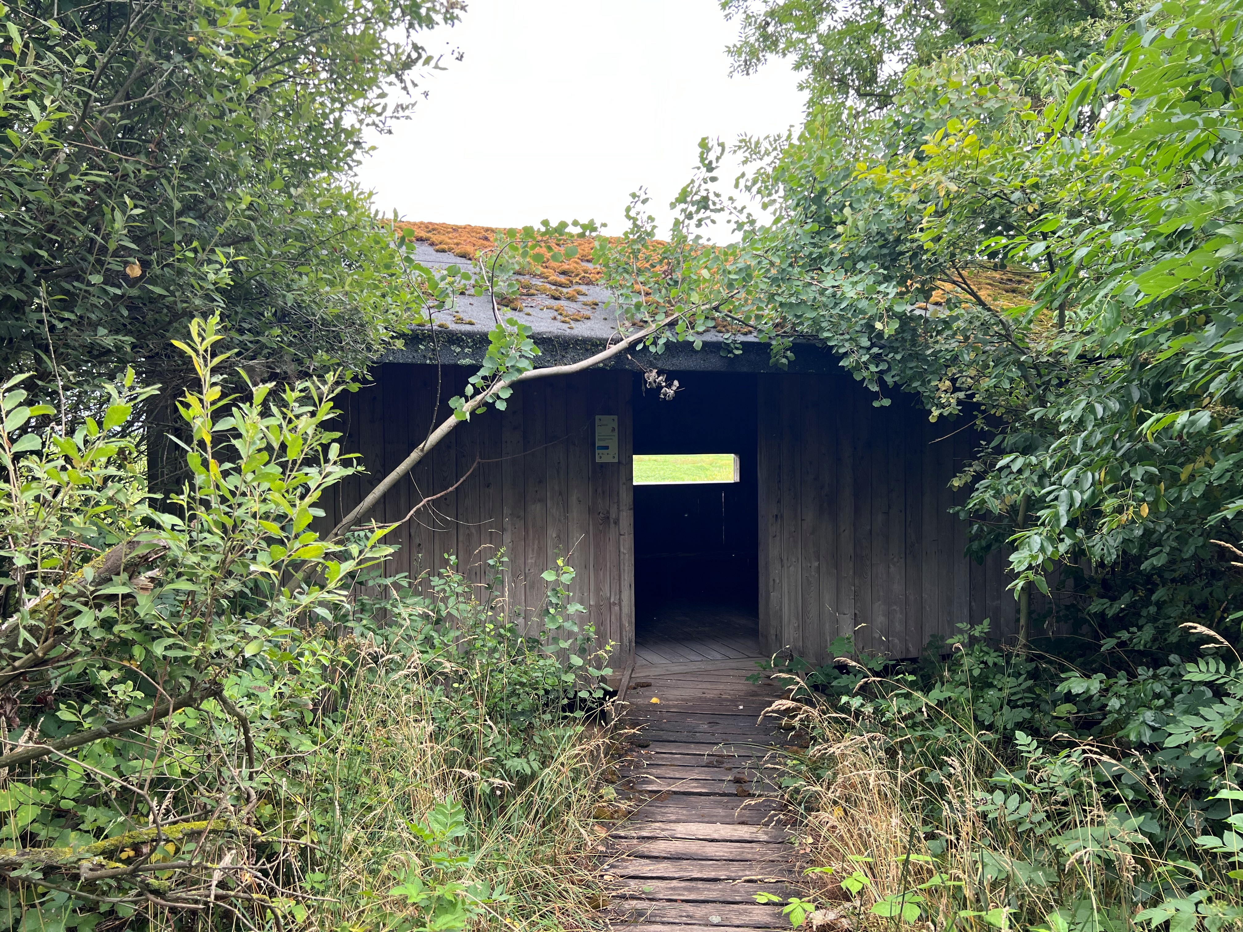 Beobachtungshütte Rotkehlchenhütte