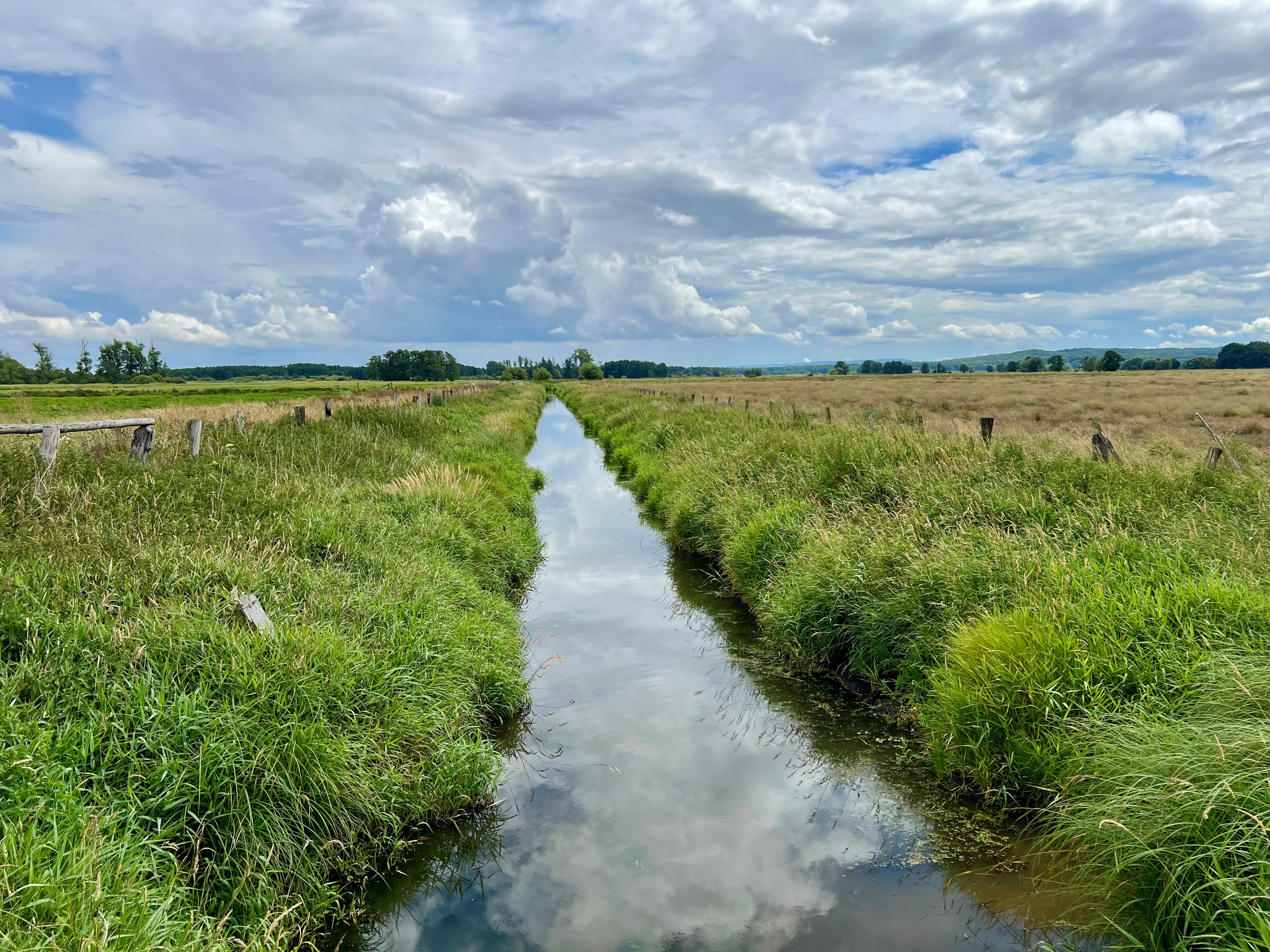 Meerbruchwiesen