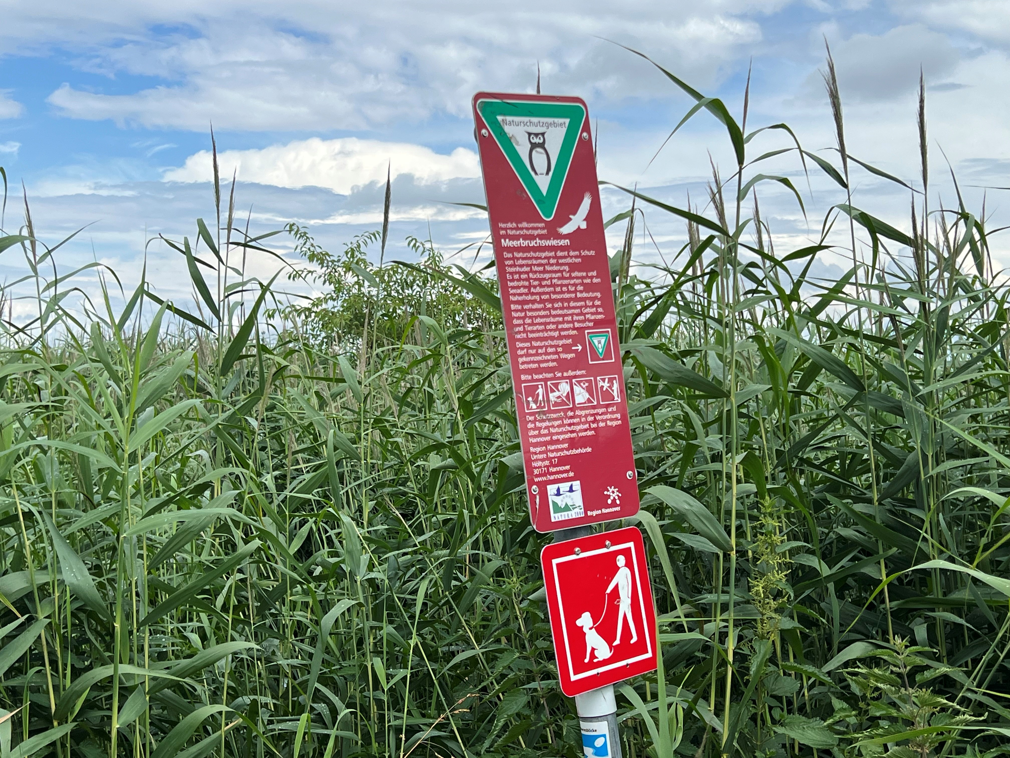 Meerbruchswiesen