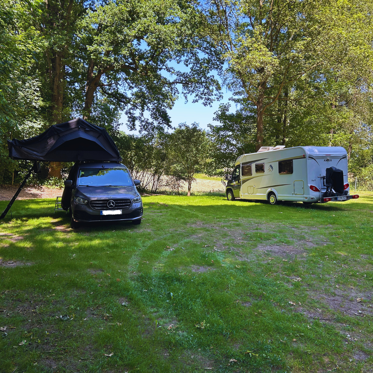 Kiebitz Wachendorf, Lingen (Ems)