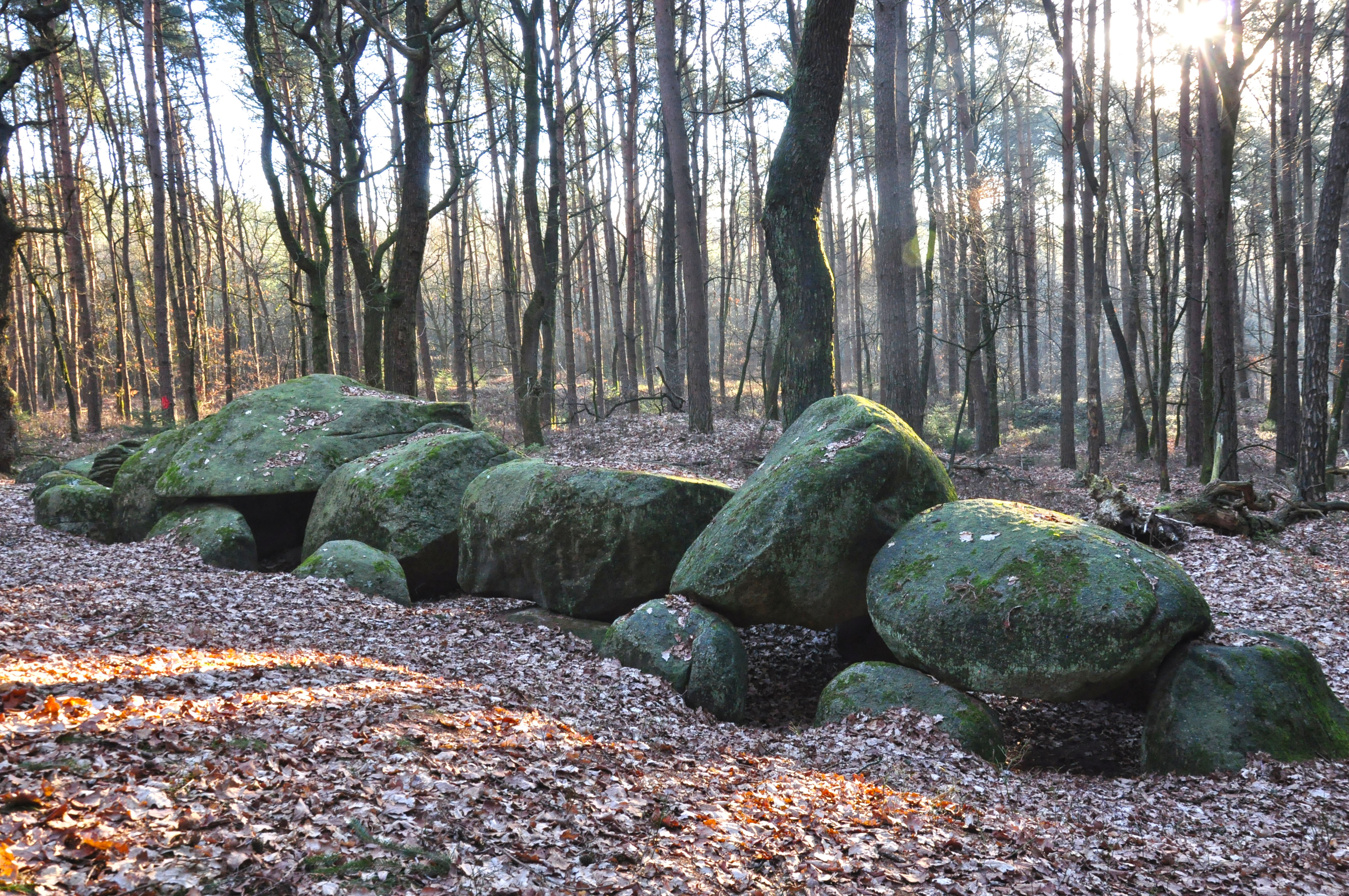 HD порно секси ана мен ұлы