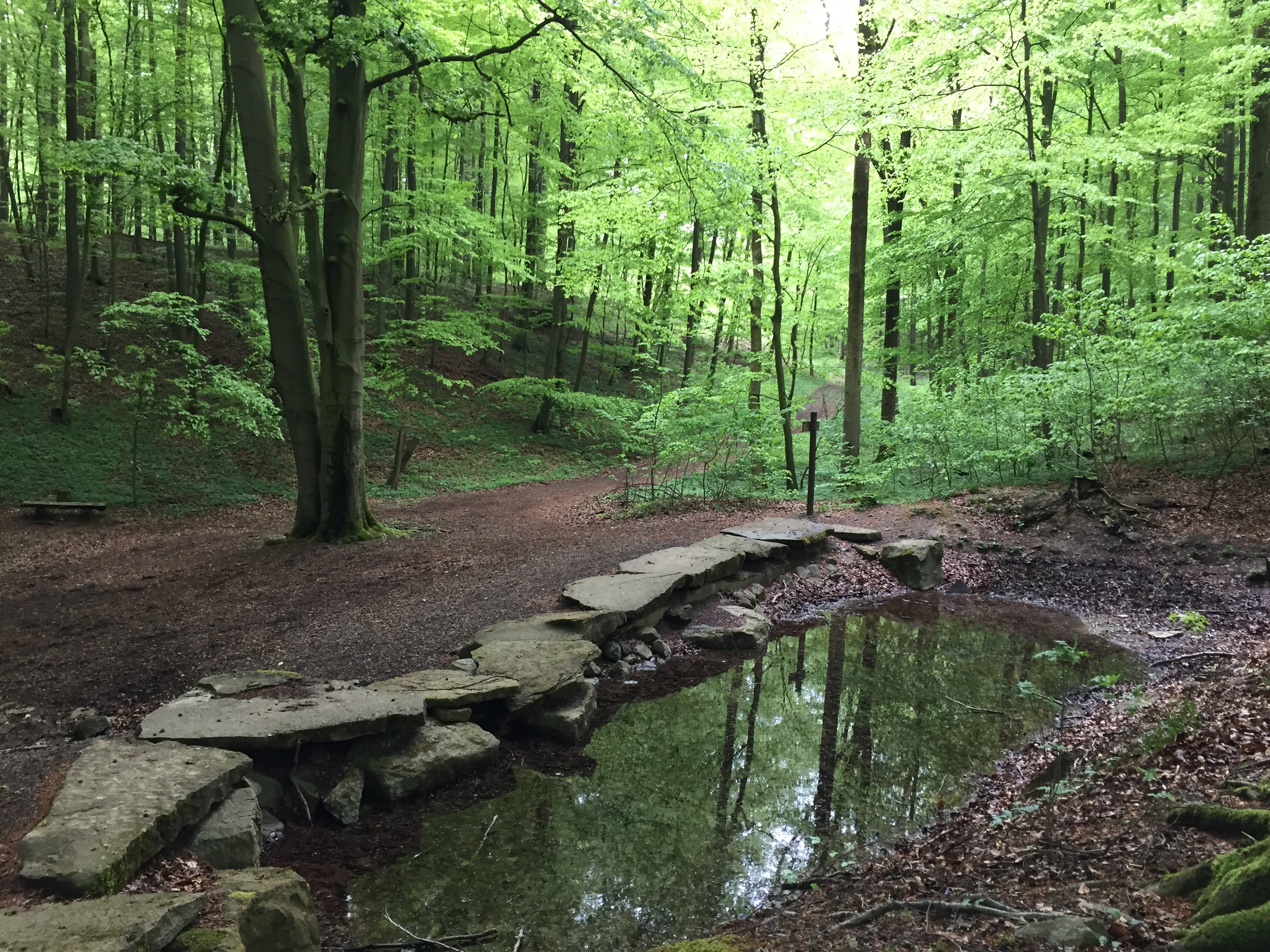 HO15 - Blutbachtal-Route
