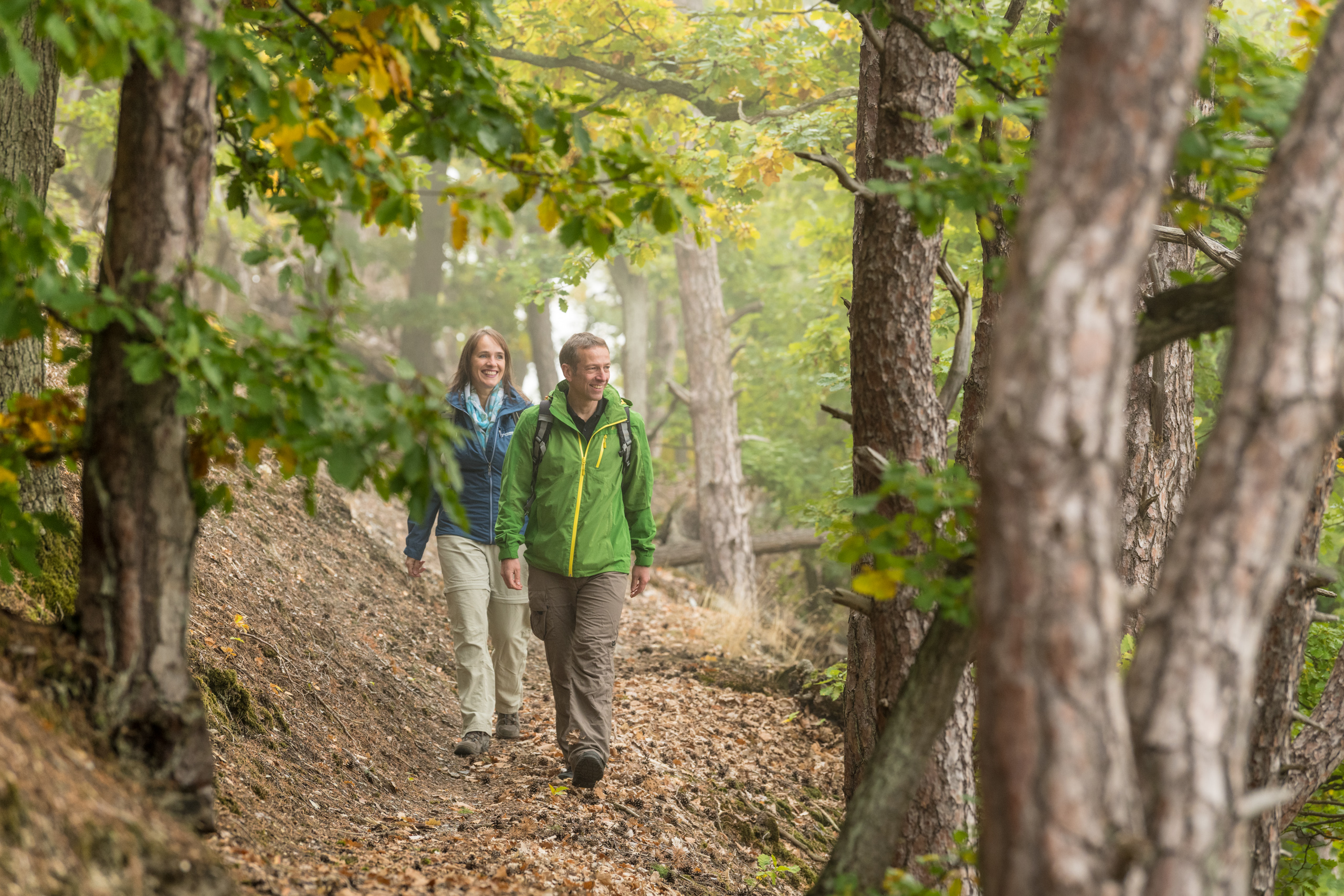 Lahn-Taunus-2018-007-Aarhöhenweg, Burg Schwalbach (c) LTT - Dominik Ketz.jpg