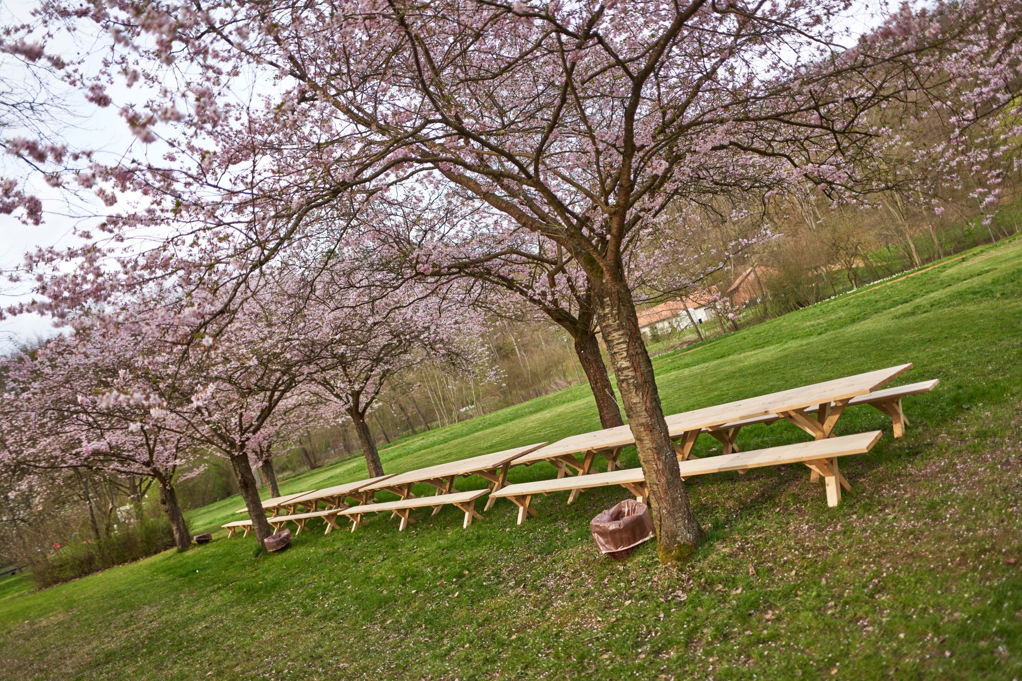 Die Lange Tafel Bad Gandersheim