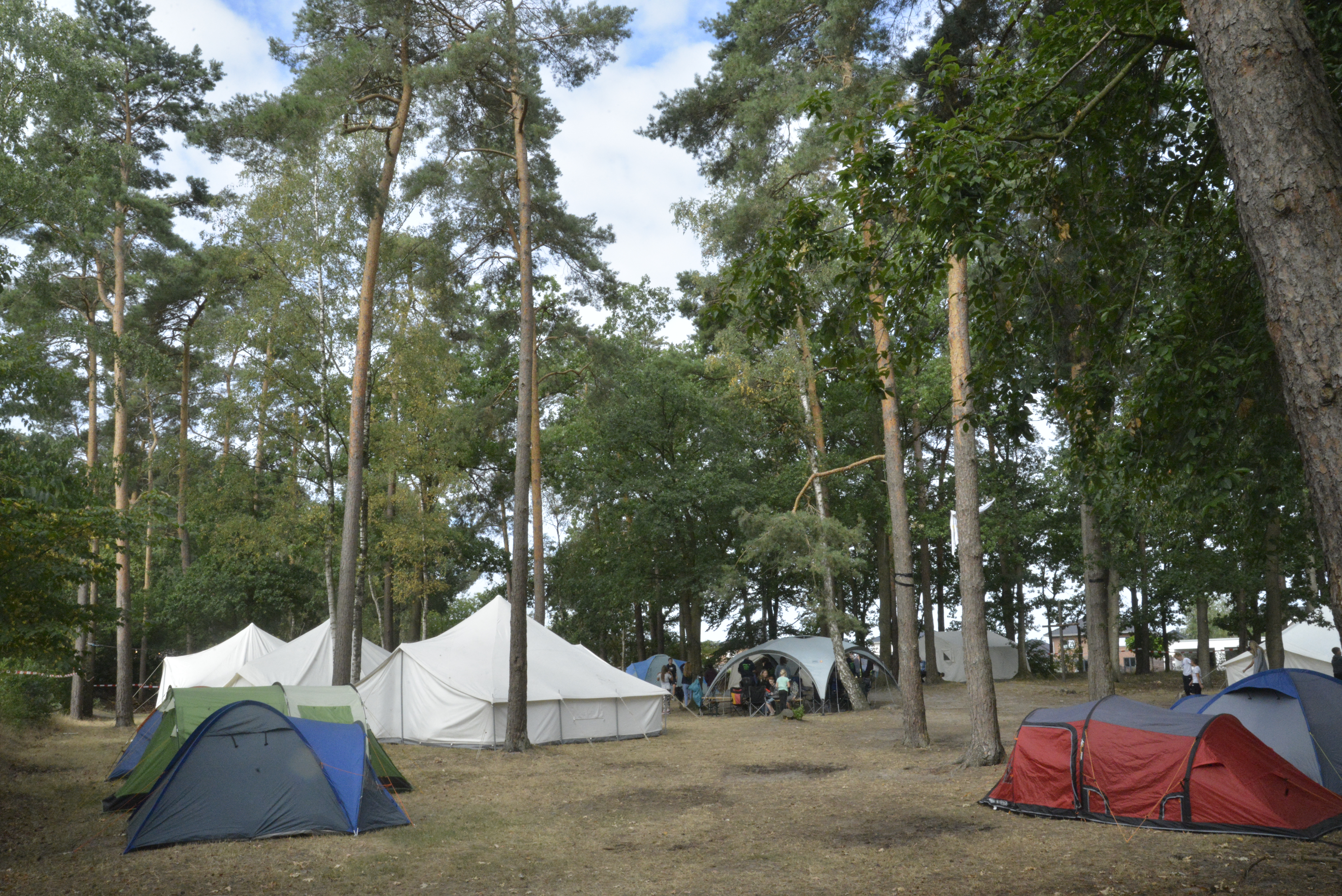 _GGE0667.JPG