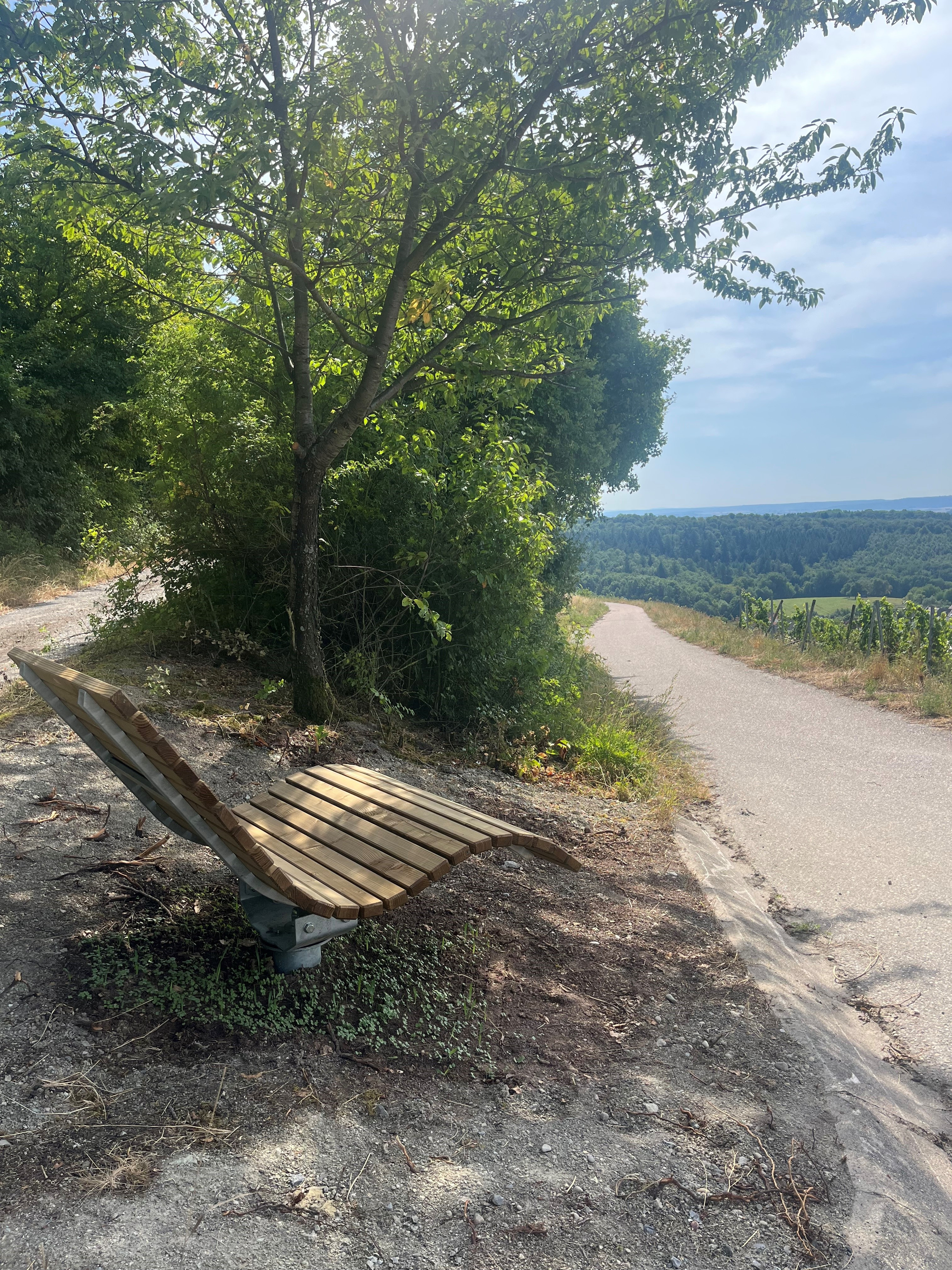 Hügelsofa_Eichelberg_Weinberge_3_2025_07_18_Viola_Spitzer_CCBYSA