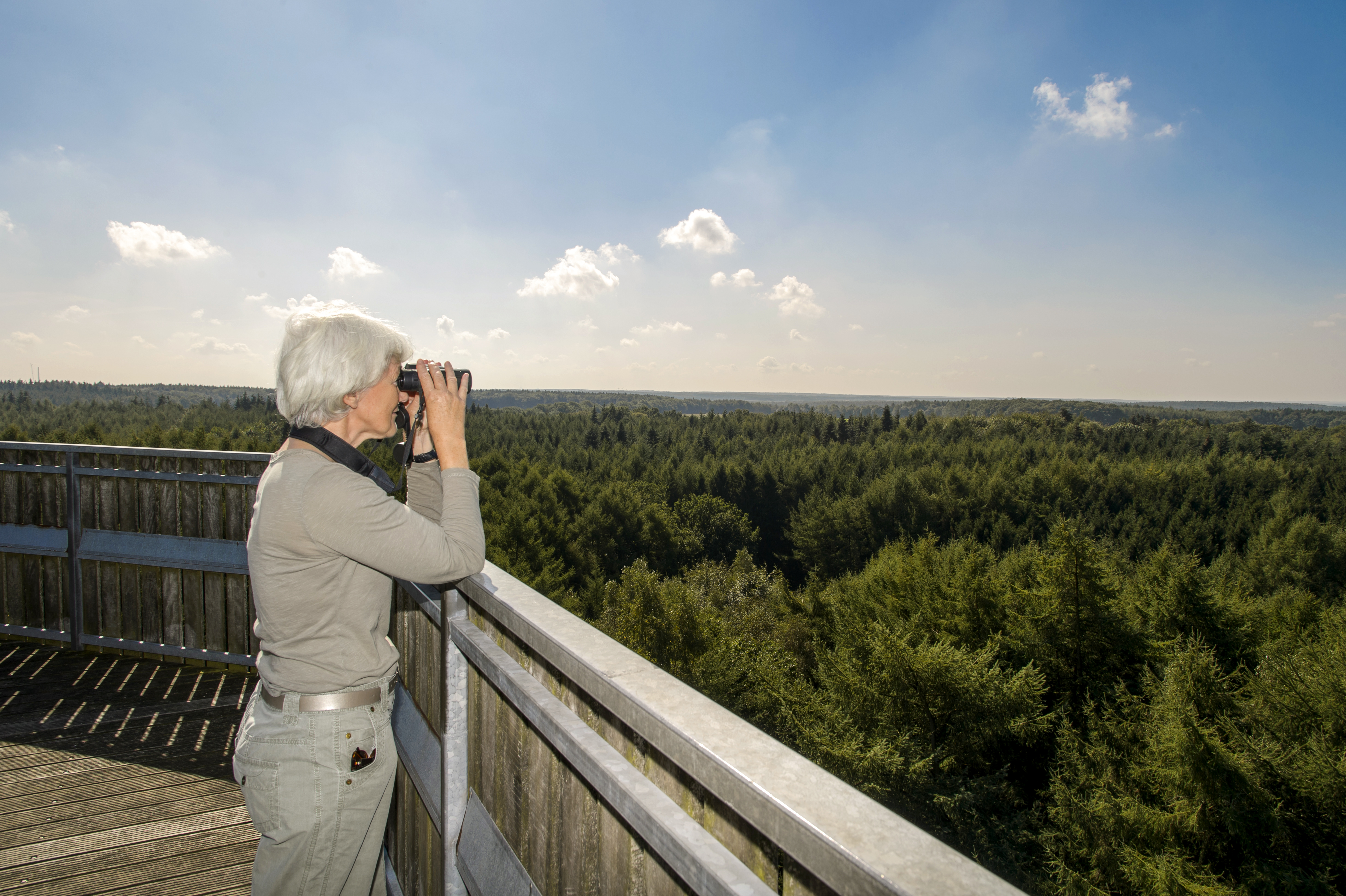 Aussichtsturm in Surwolds Wald