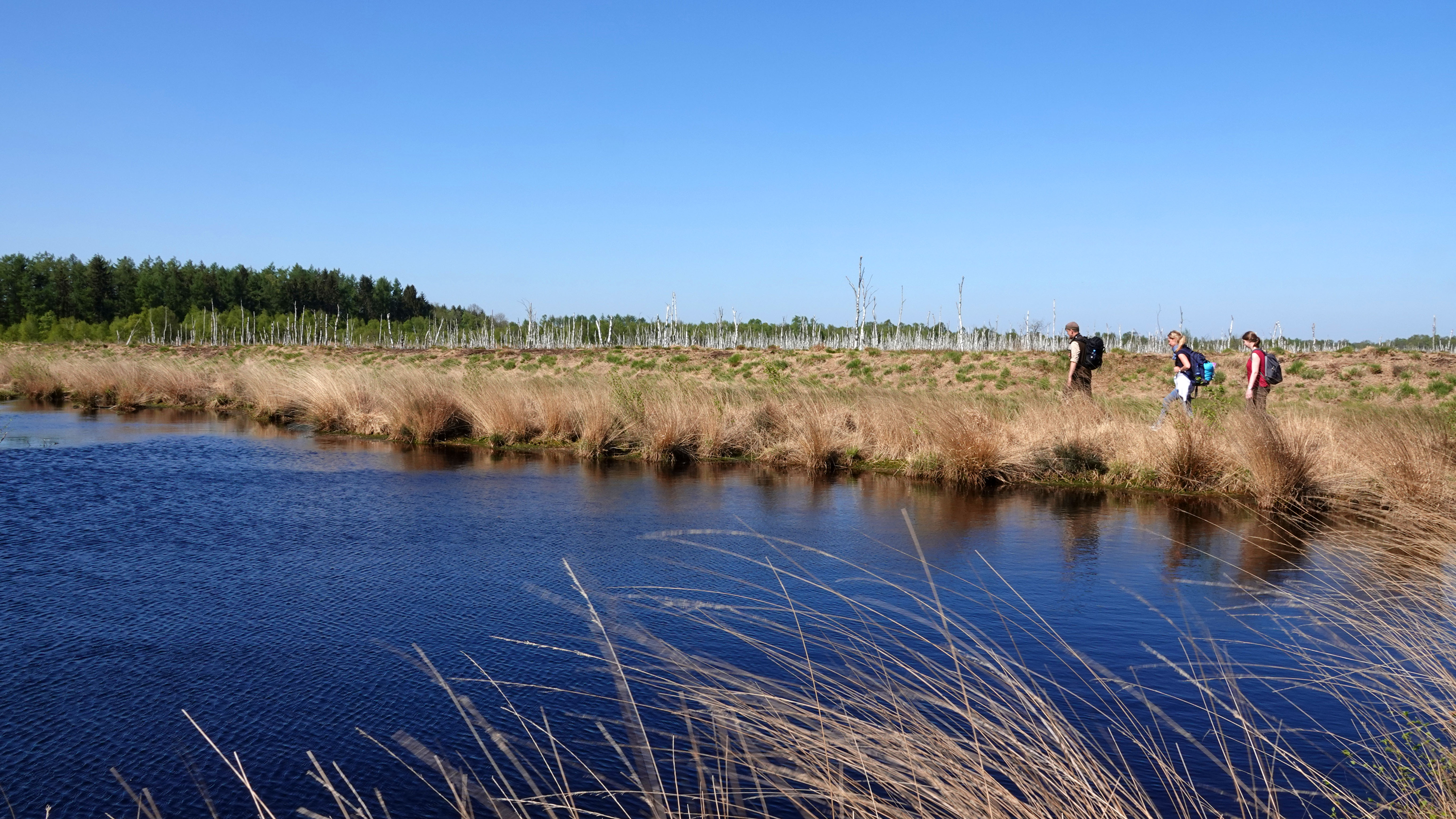 Naturschutzgebiet Theikenmeer