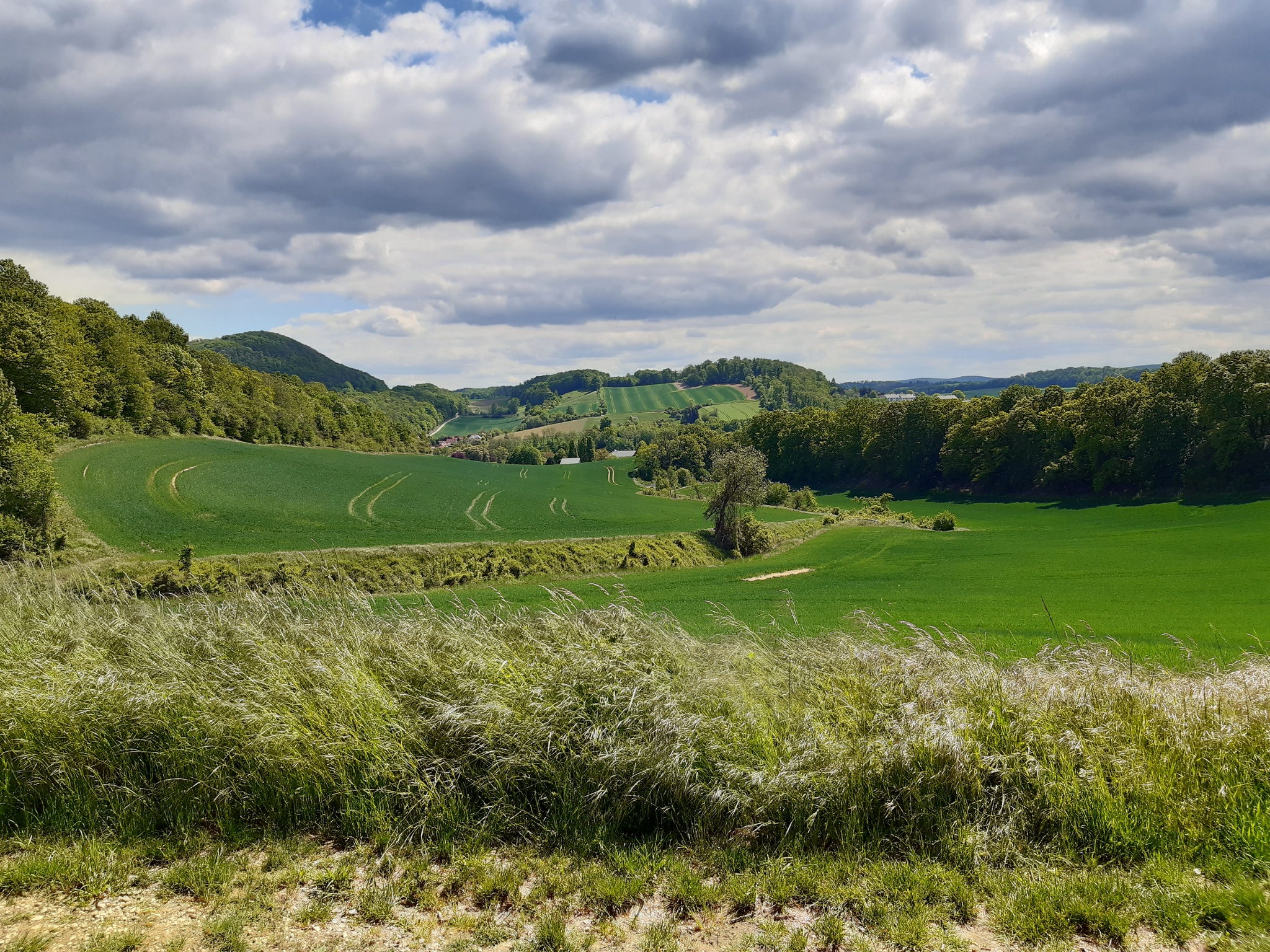 Grüne Hödeken - Kulturlandschaftspfad Ortsberg