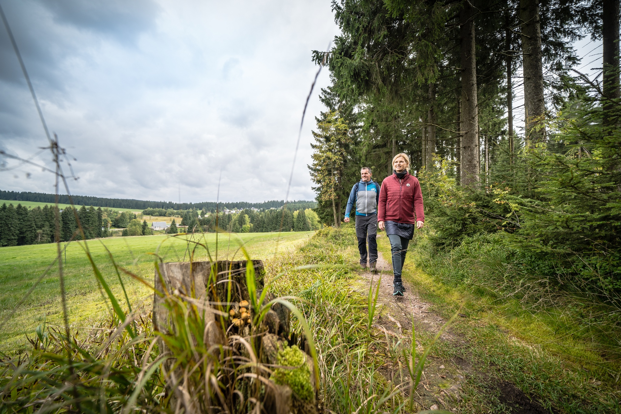 Waldpfade und Wasserblicke in Carlsfeld – Motiv