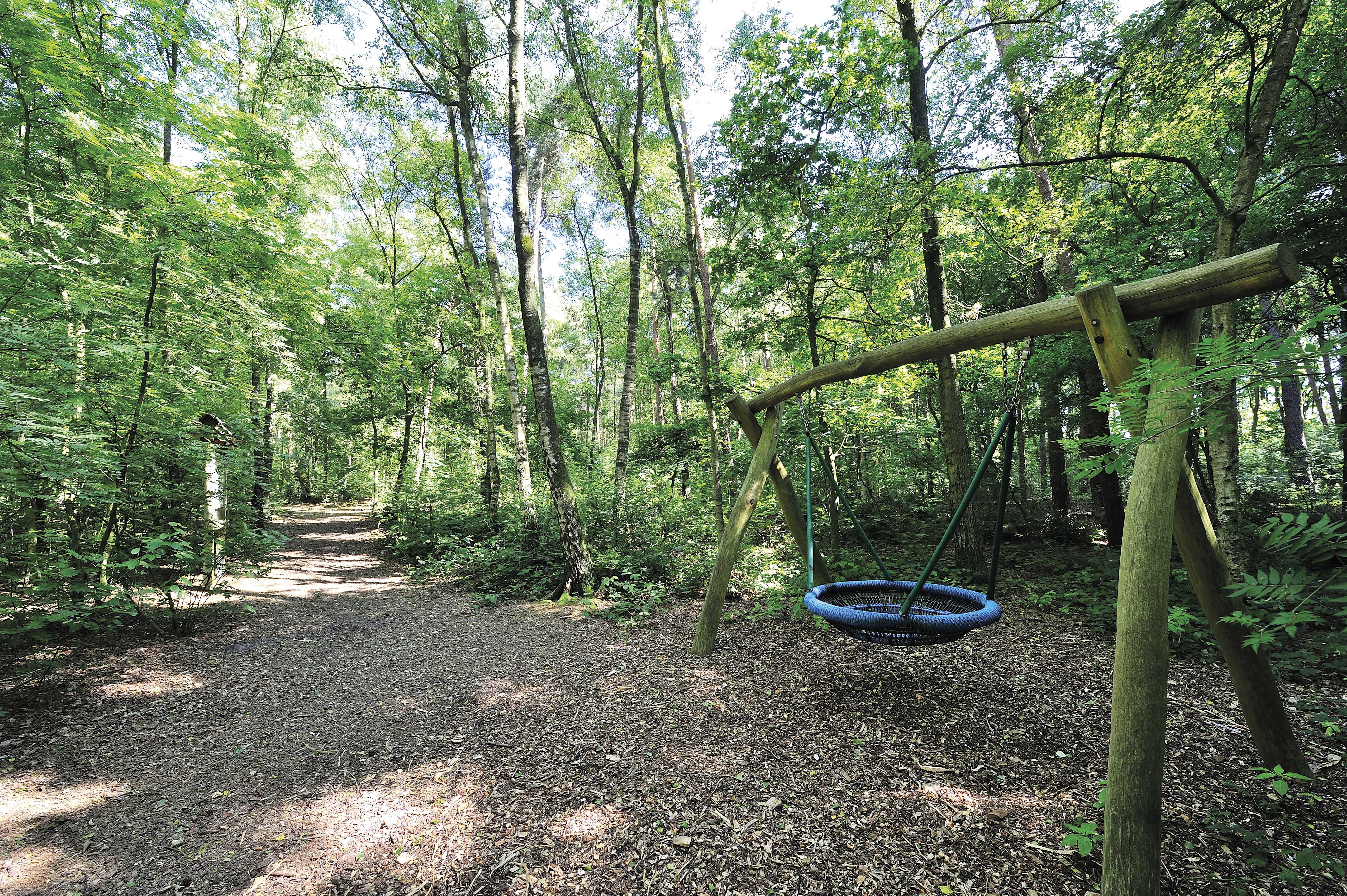 Waldweg mit Schaukel Holdorf