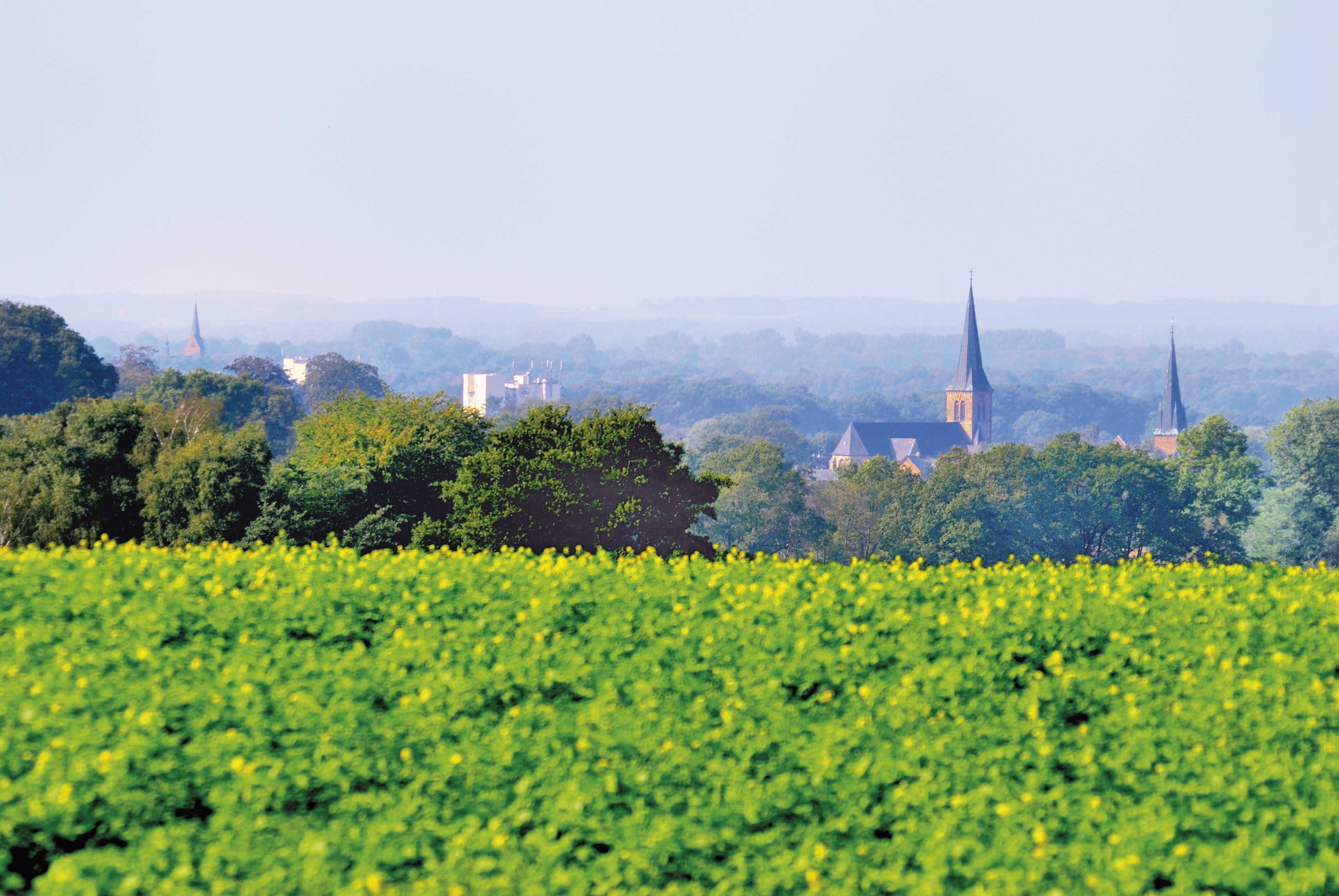 Kirchturmspitzen Neuenkirchen