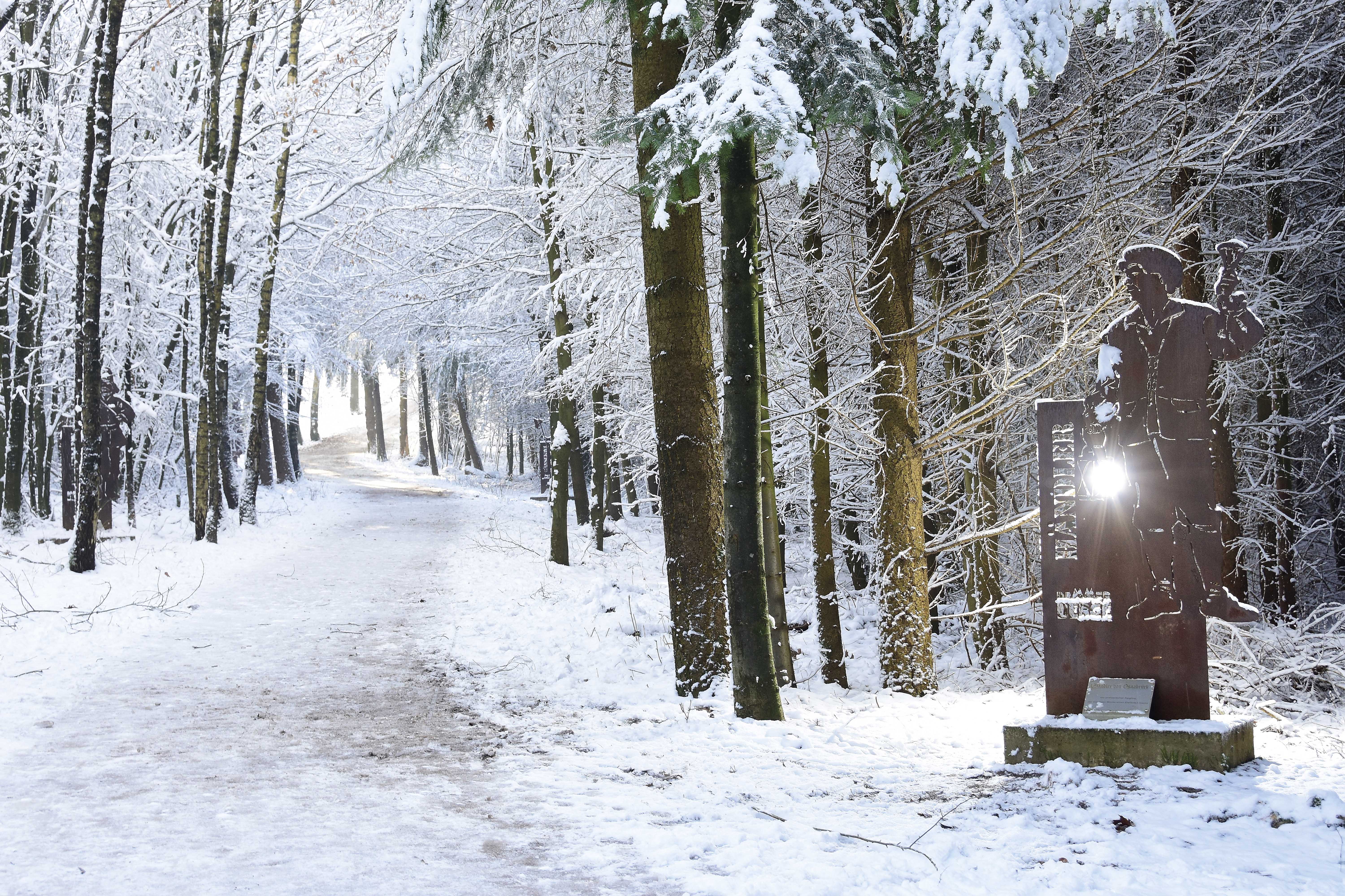 Räuber Händler im Schnee
