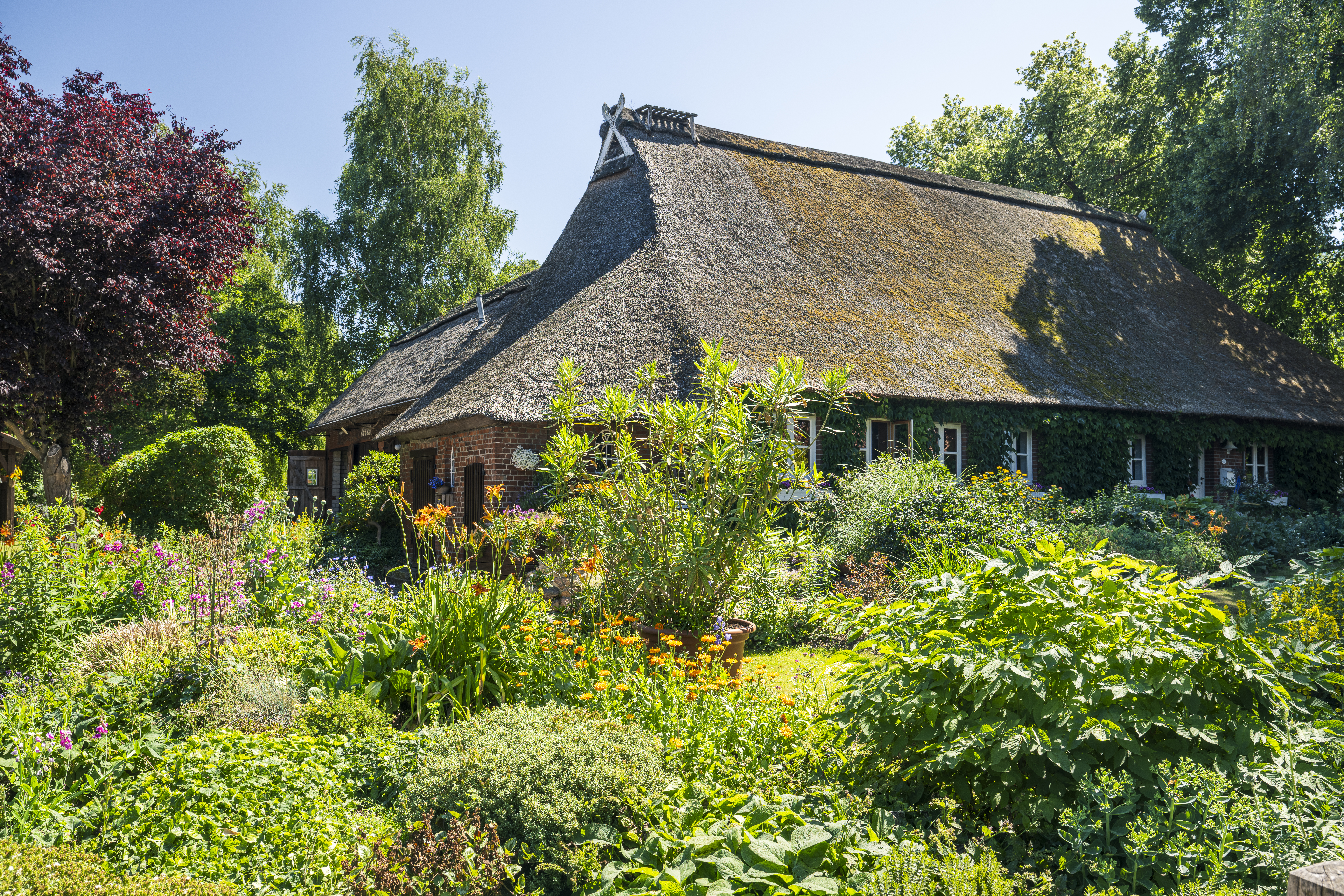 Entdeckerort Dorf Fahrenholz