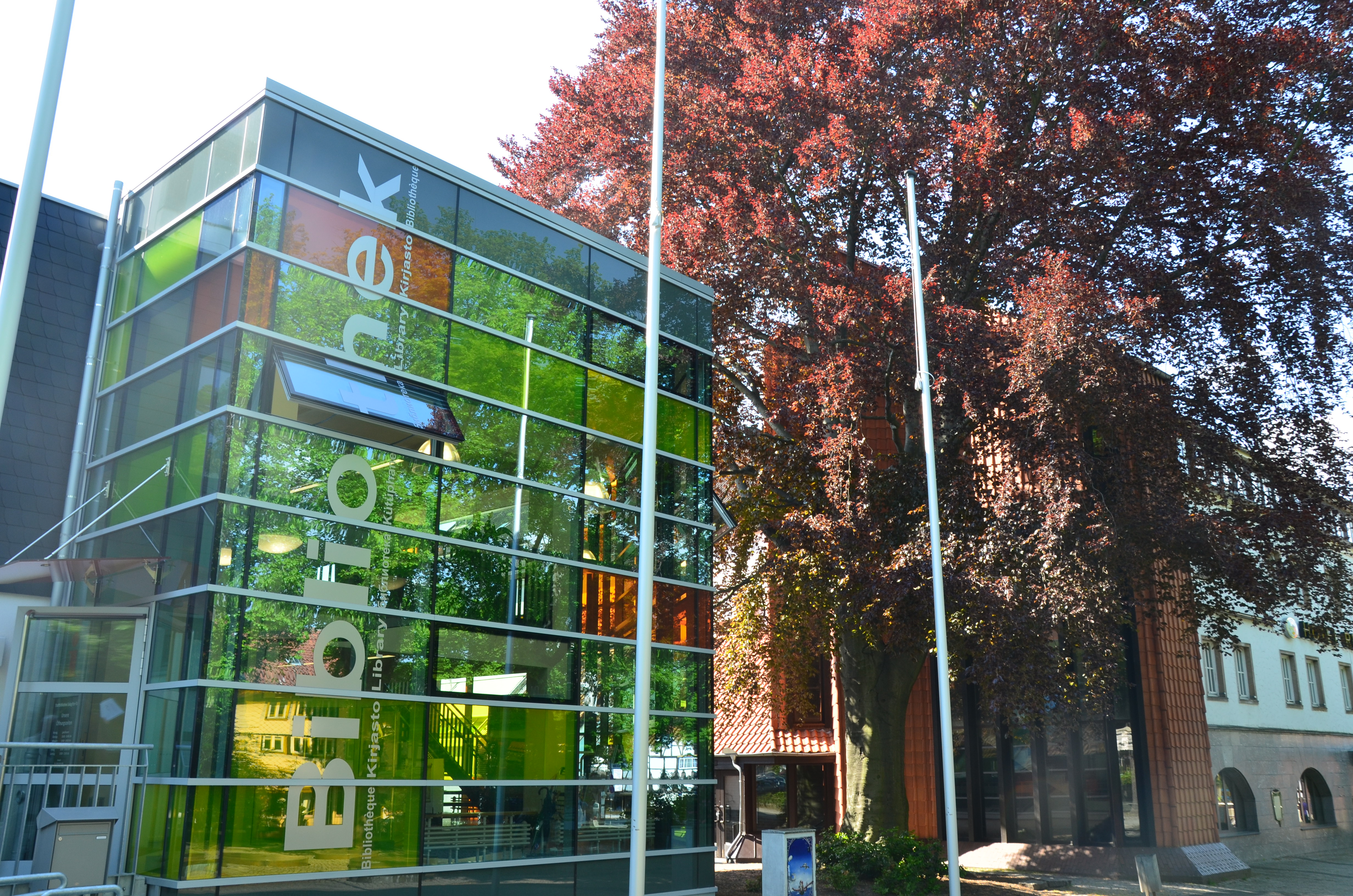 Buchvorstellung „Sehr blaue Augen“ von Toni Morrison