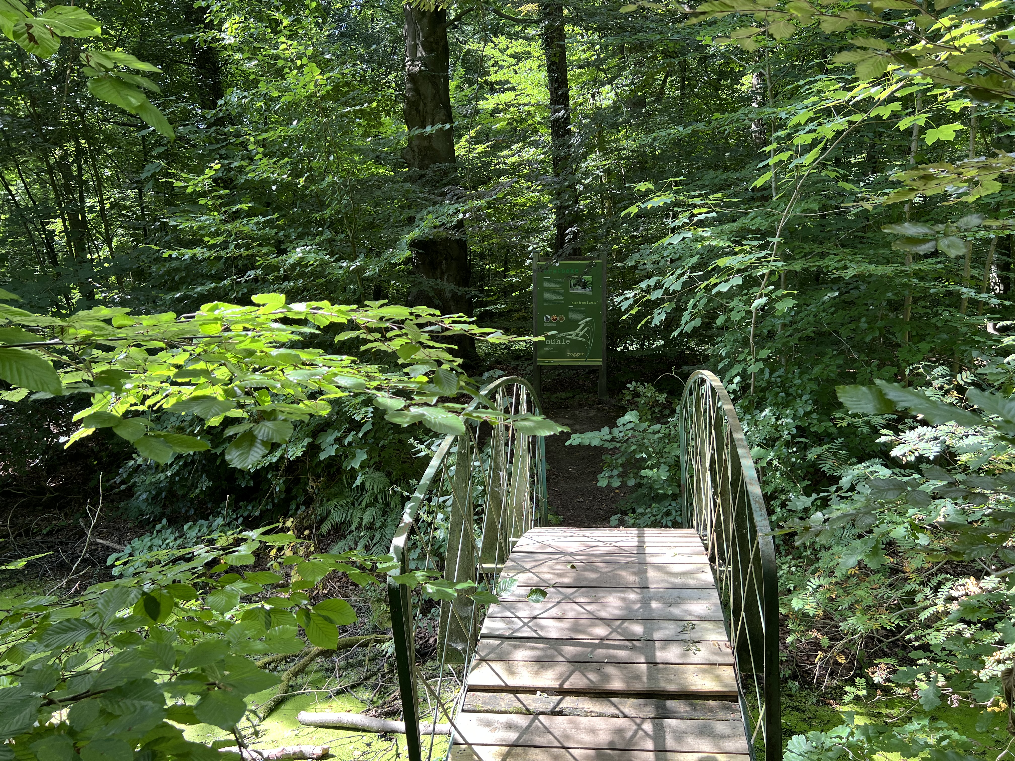 Geestpfad - Bredbeck