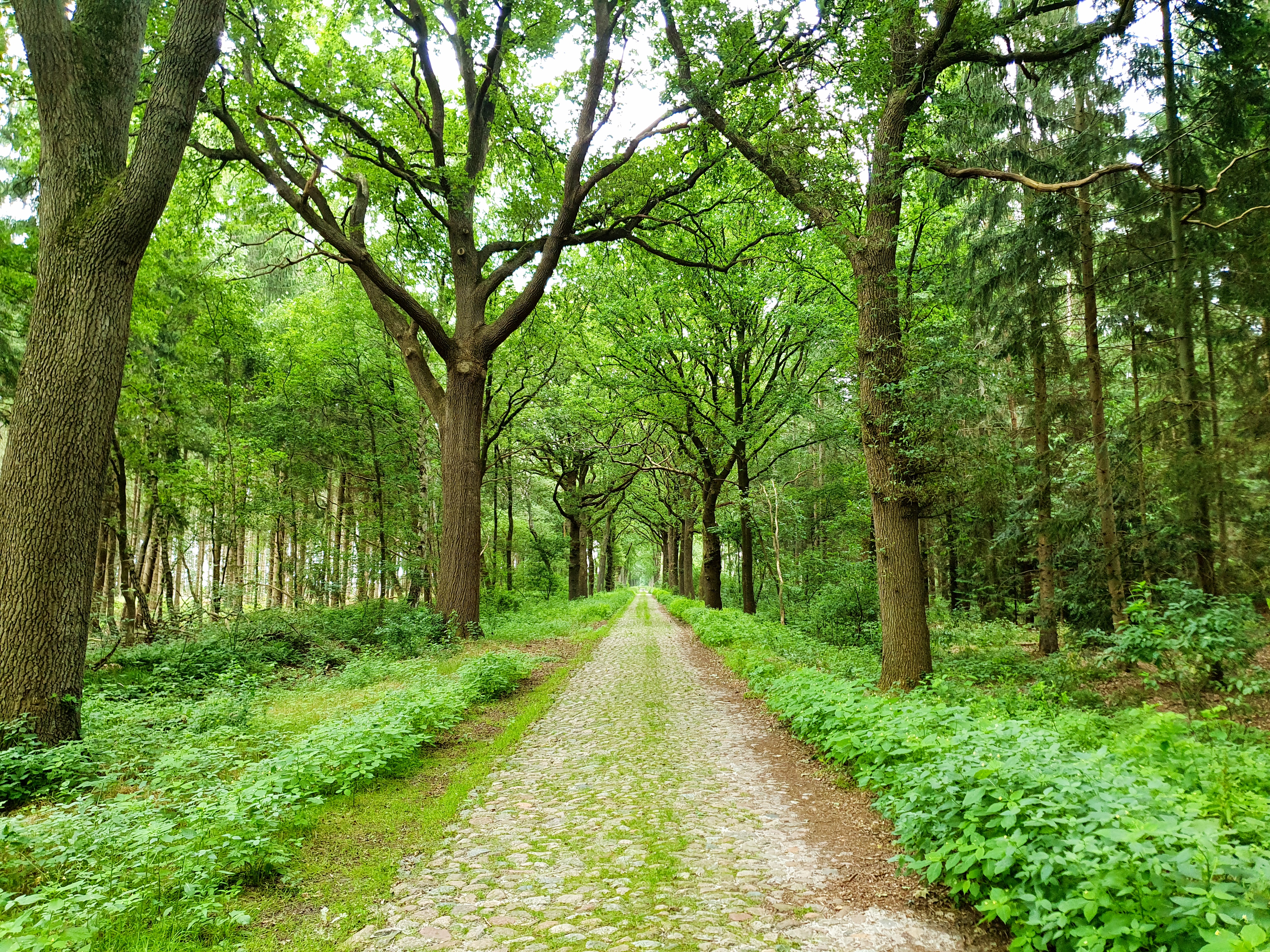 Historische Straße