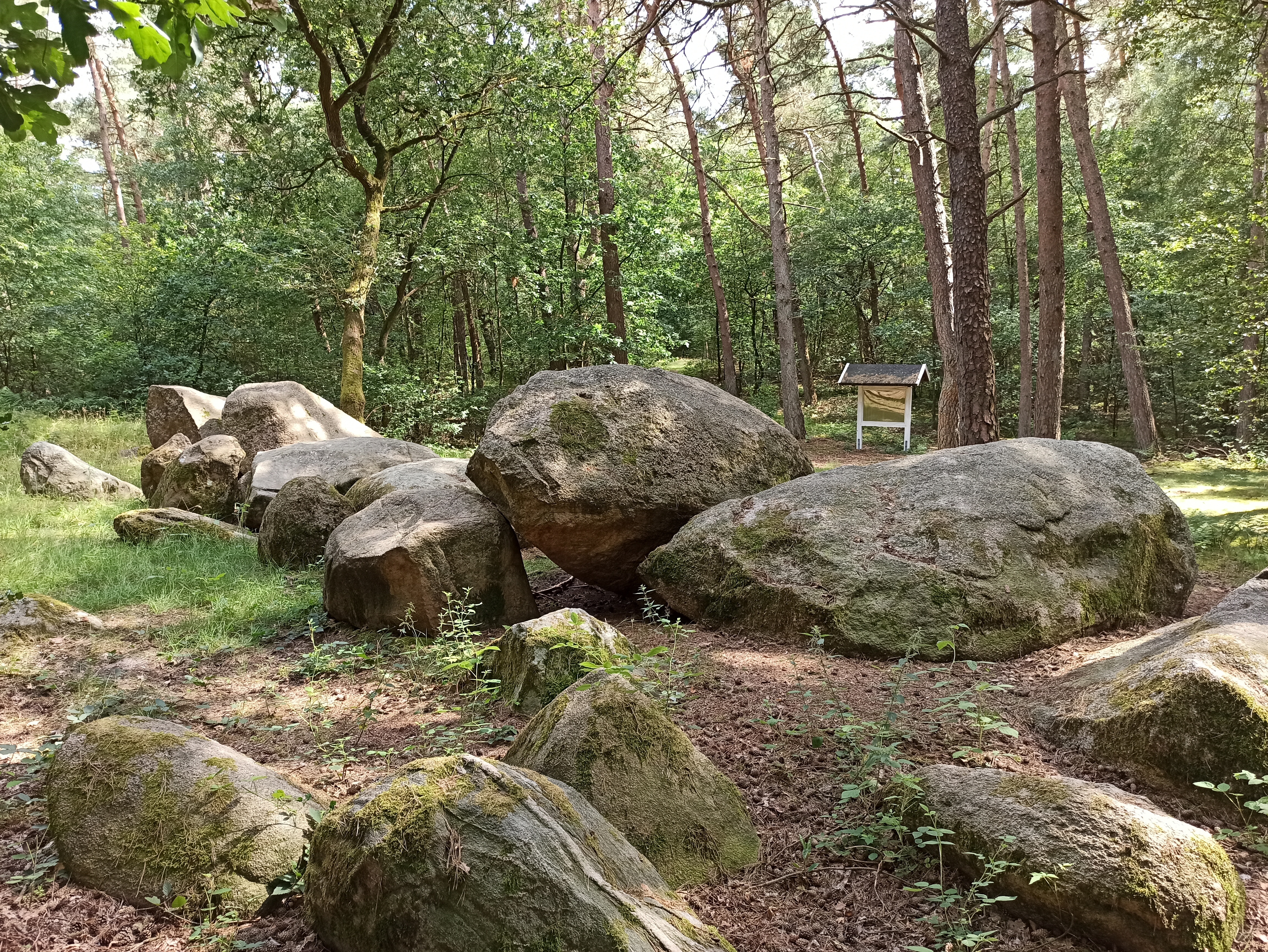 Großsteingrab im großen Sande 