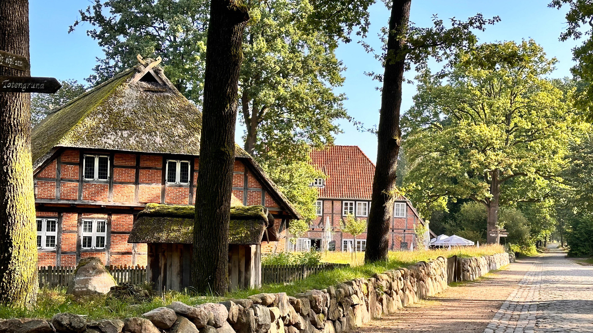 Wilsede