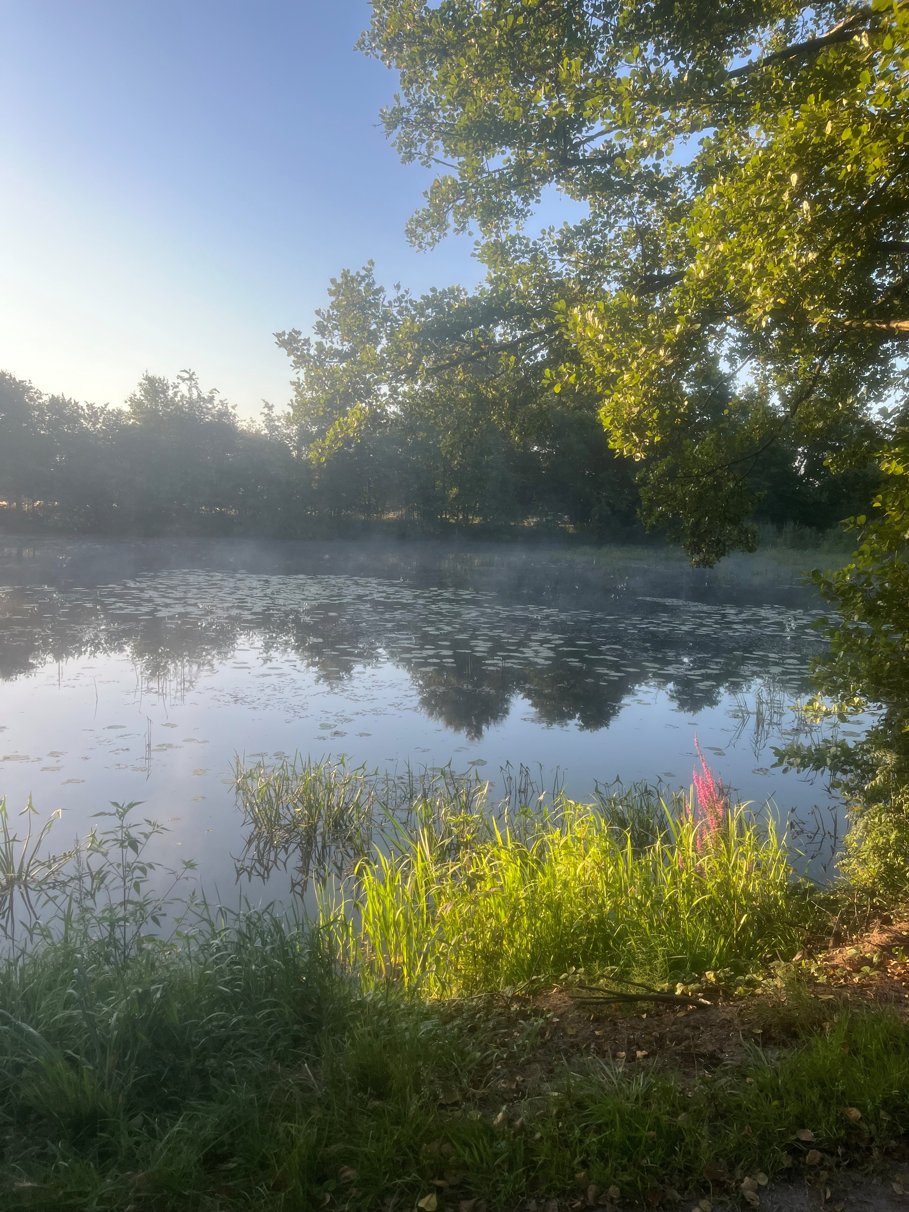 Campingplatz Vierhausen am Quellsee, Lilienthal
