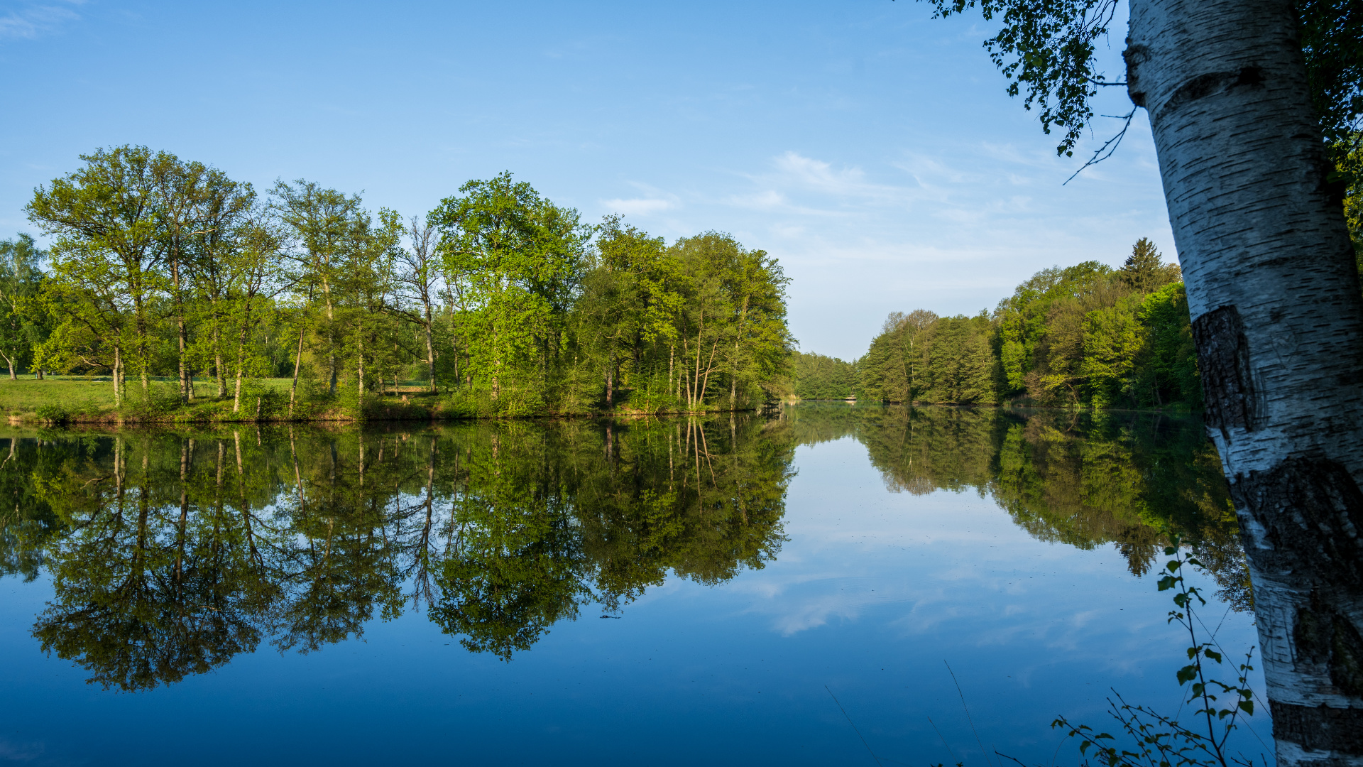 Brunausee in Behringen