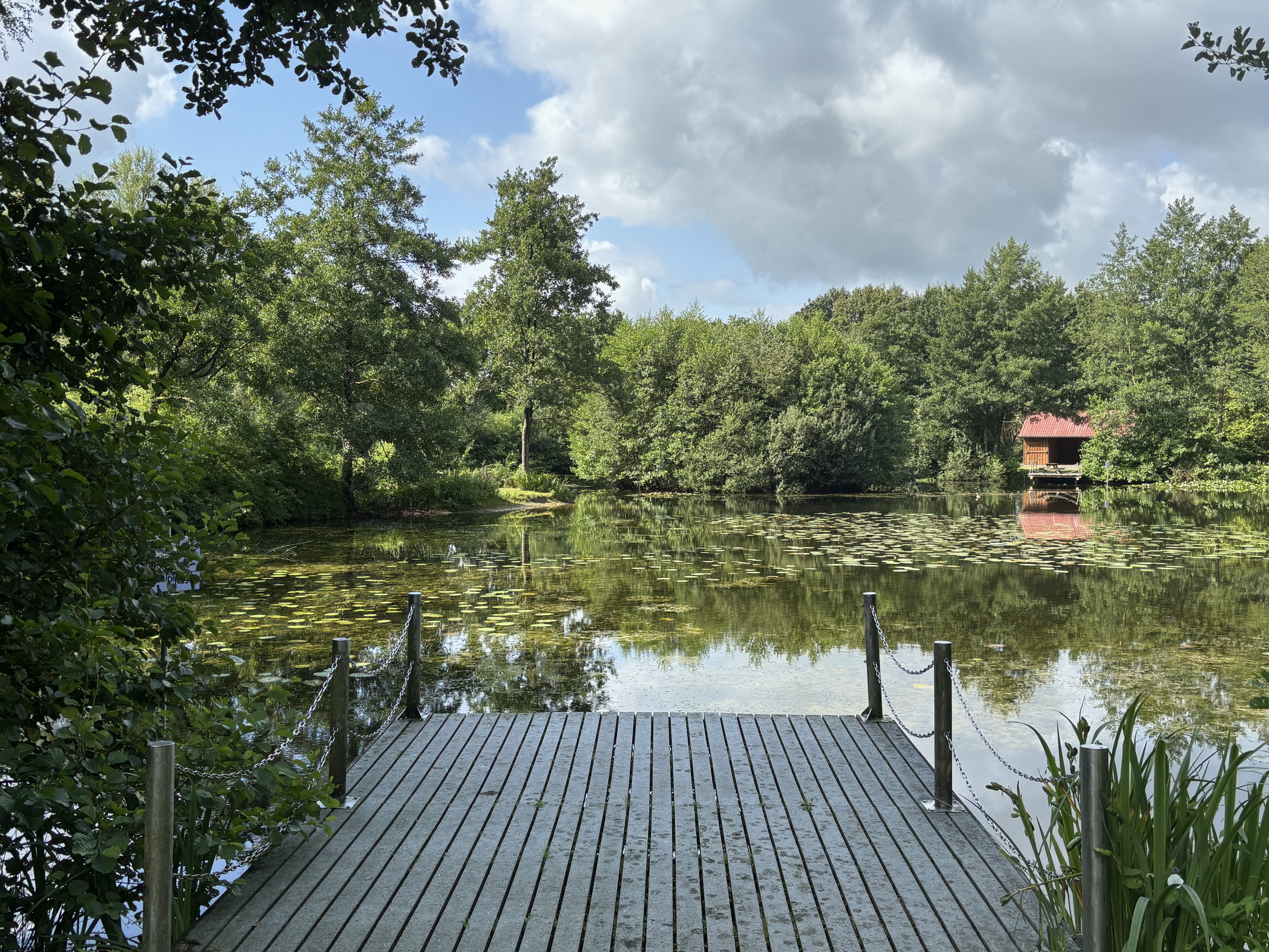 Dorfteich Hollen