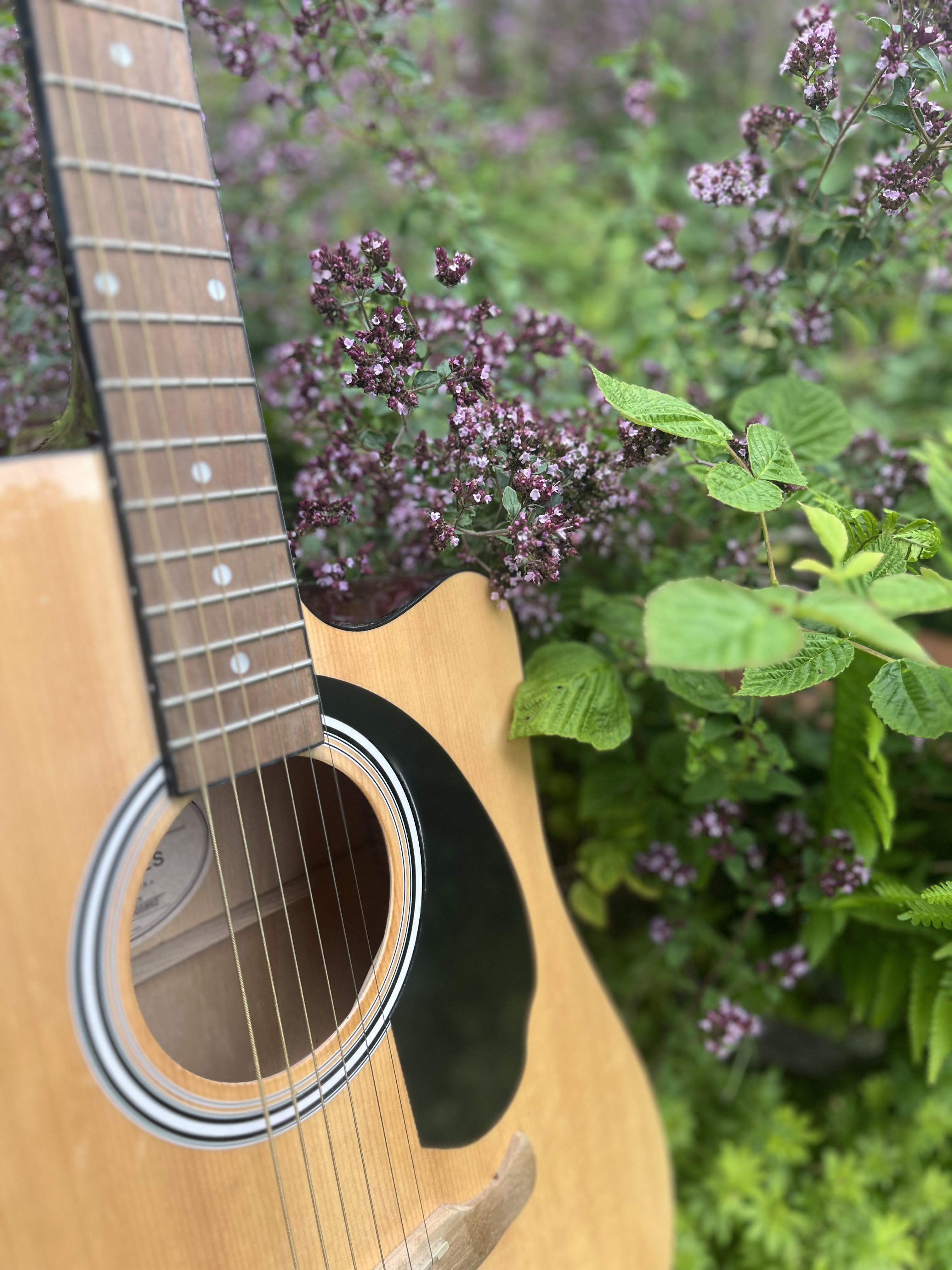 Biosph&auml;renkonzert