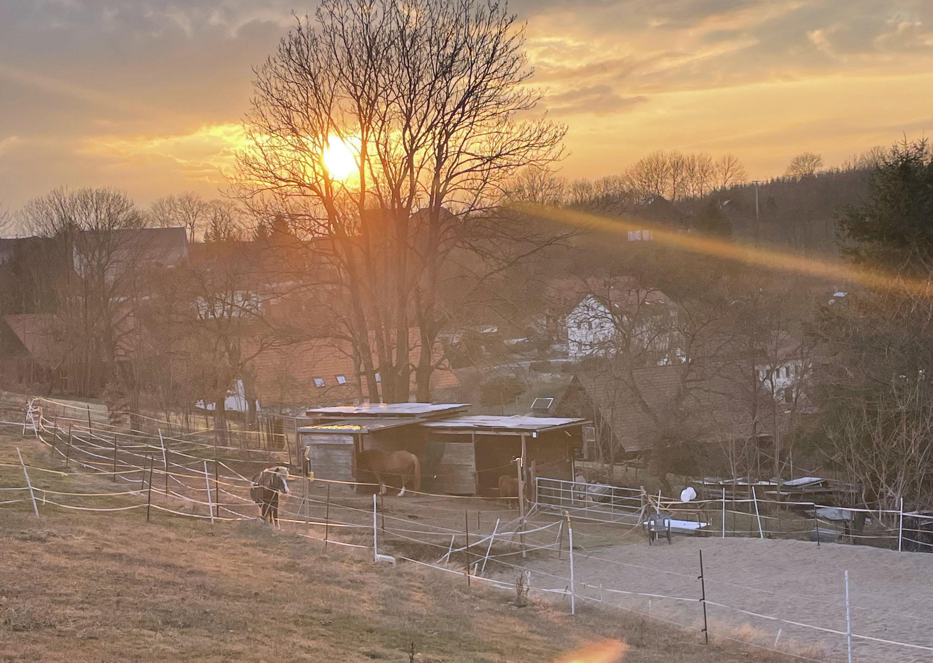 Der Pferdestall im Abendlicht