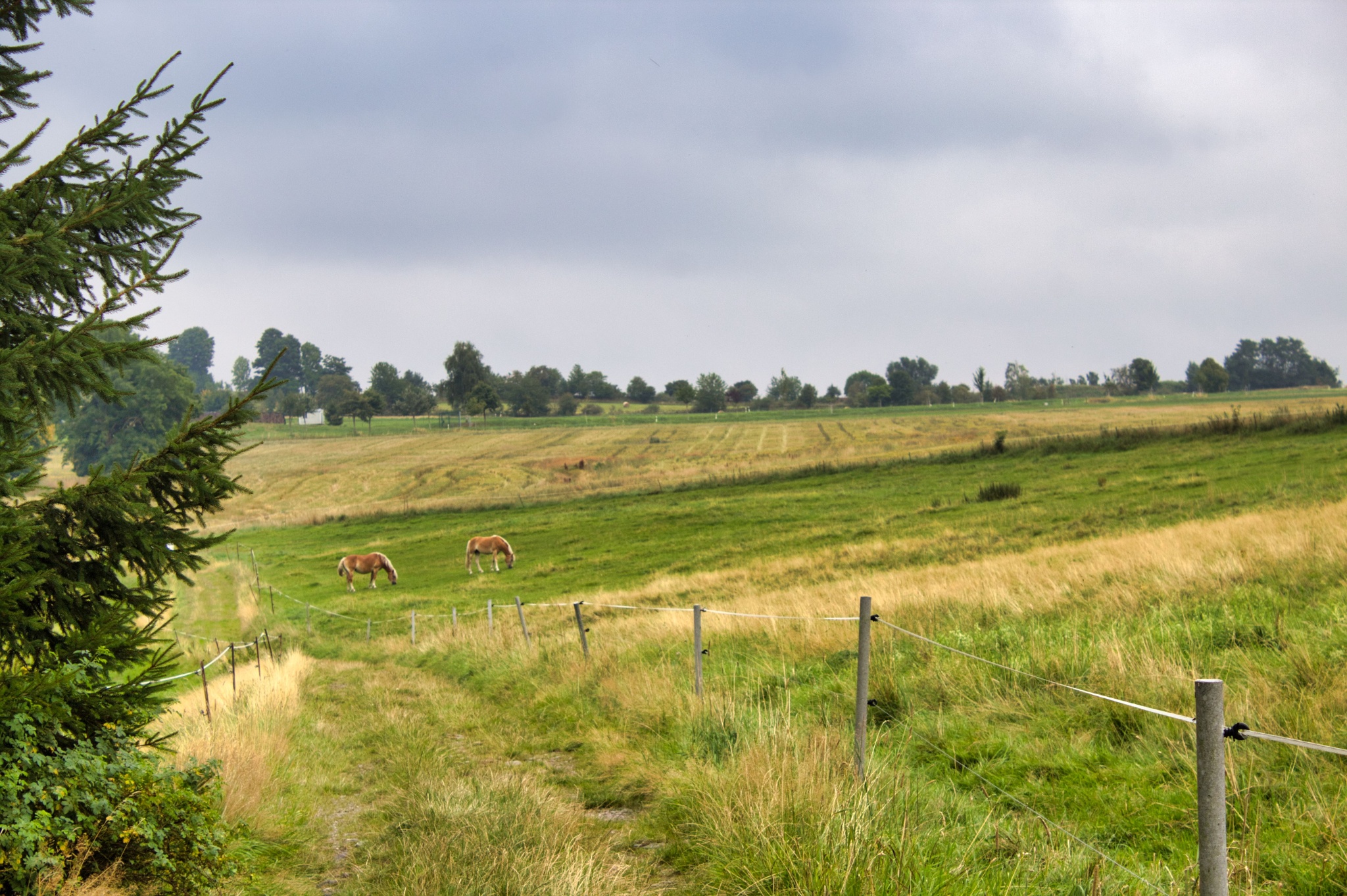 Weitblick & Zeitreise – Wanderung vom Erlahammer nach Pöhla – Motiv