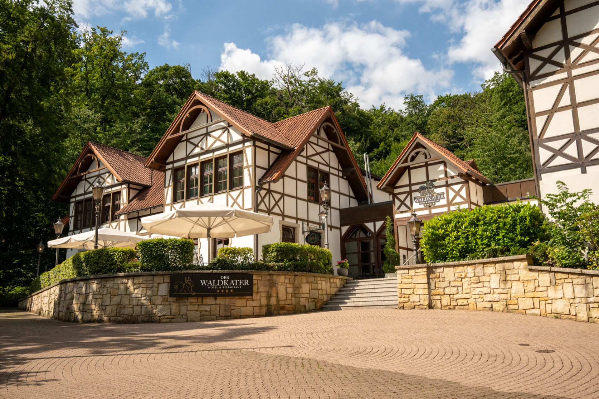 Außenbereich - Waldkater, Rinteln