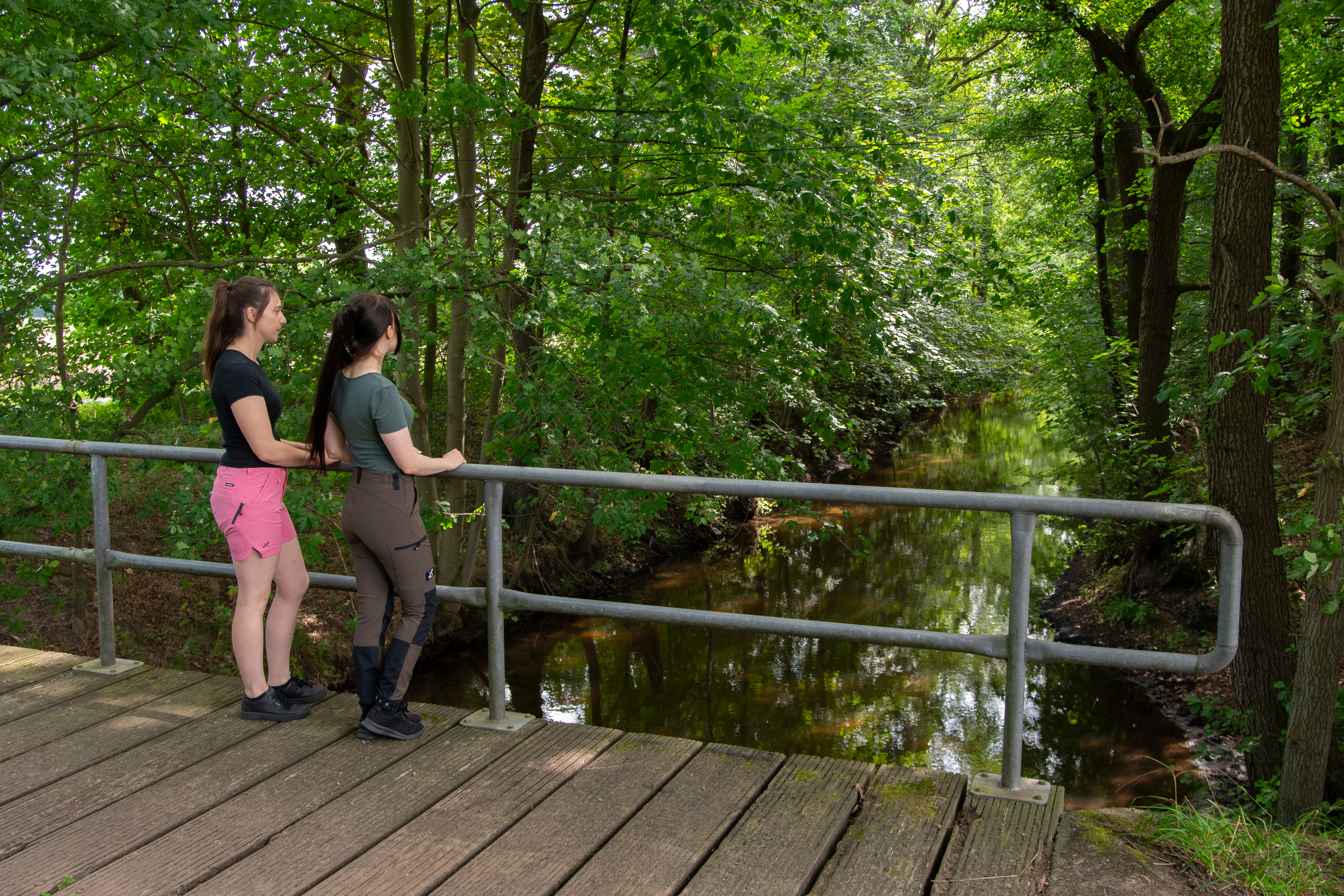 Wandern am Neetze-Kanal