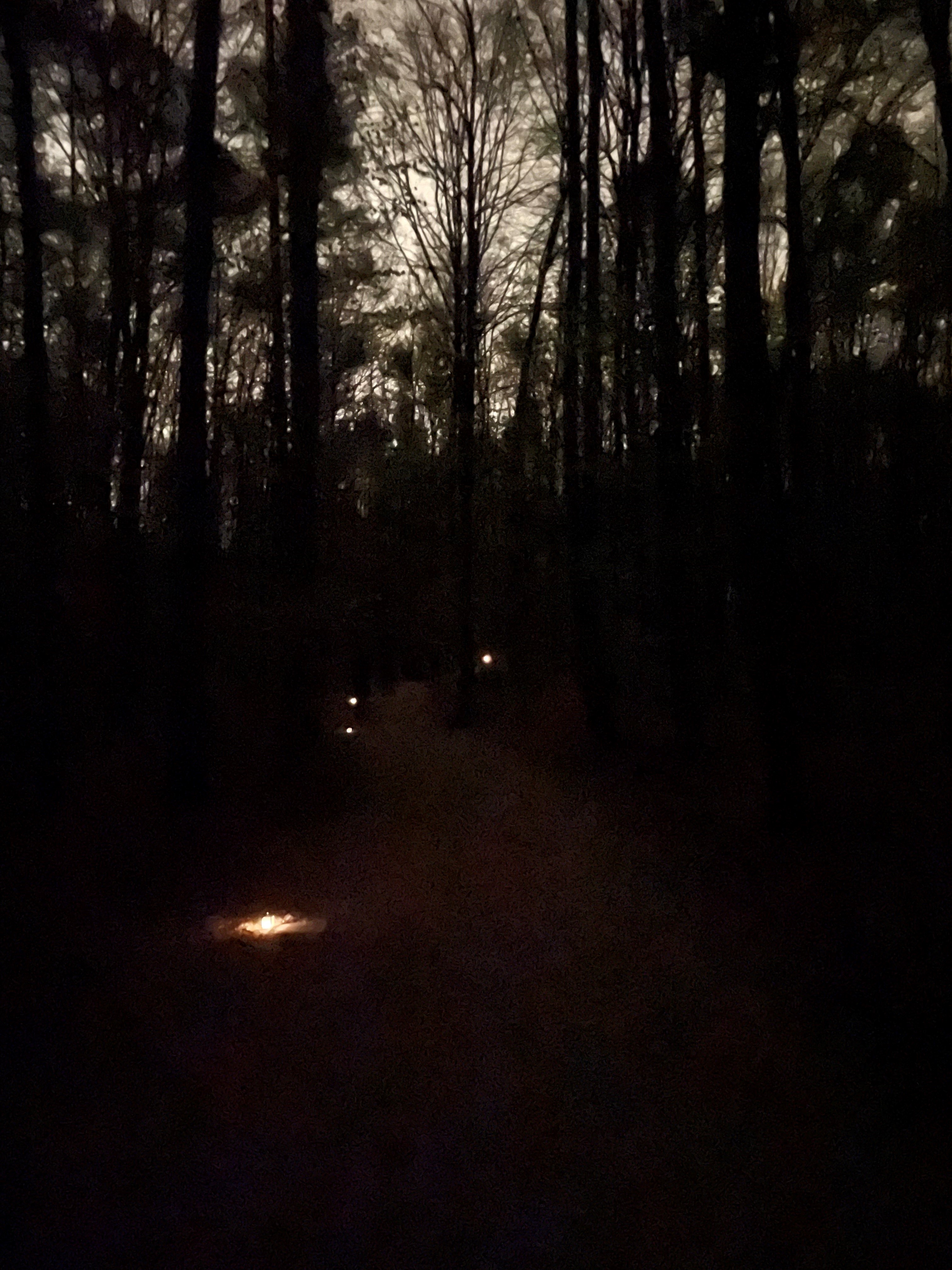 In der Dämmerung durch den Wald – Erlebnisabend für Erwachsene und Kinder ab 8 Jahren