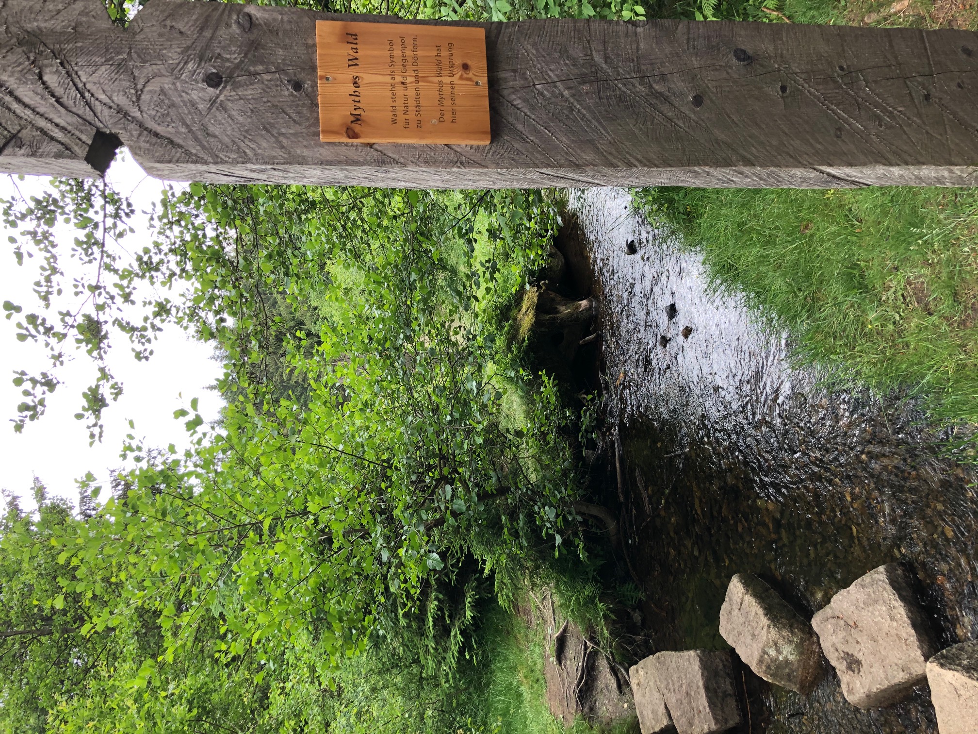 braunlage-naturmythenpfad-fluss(c)btmg.jpg