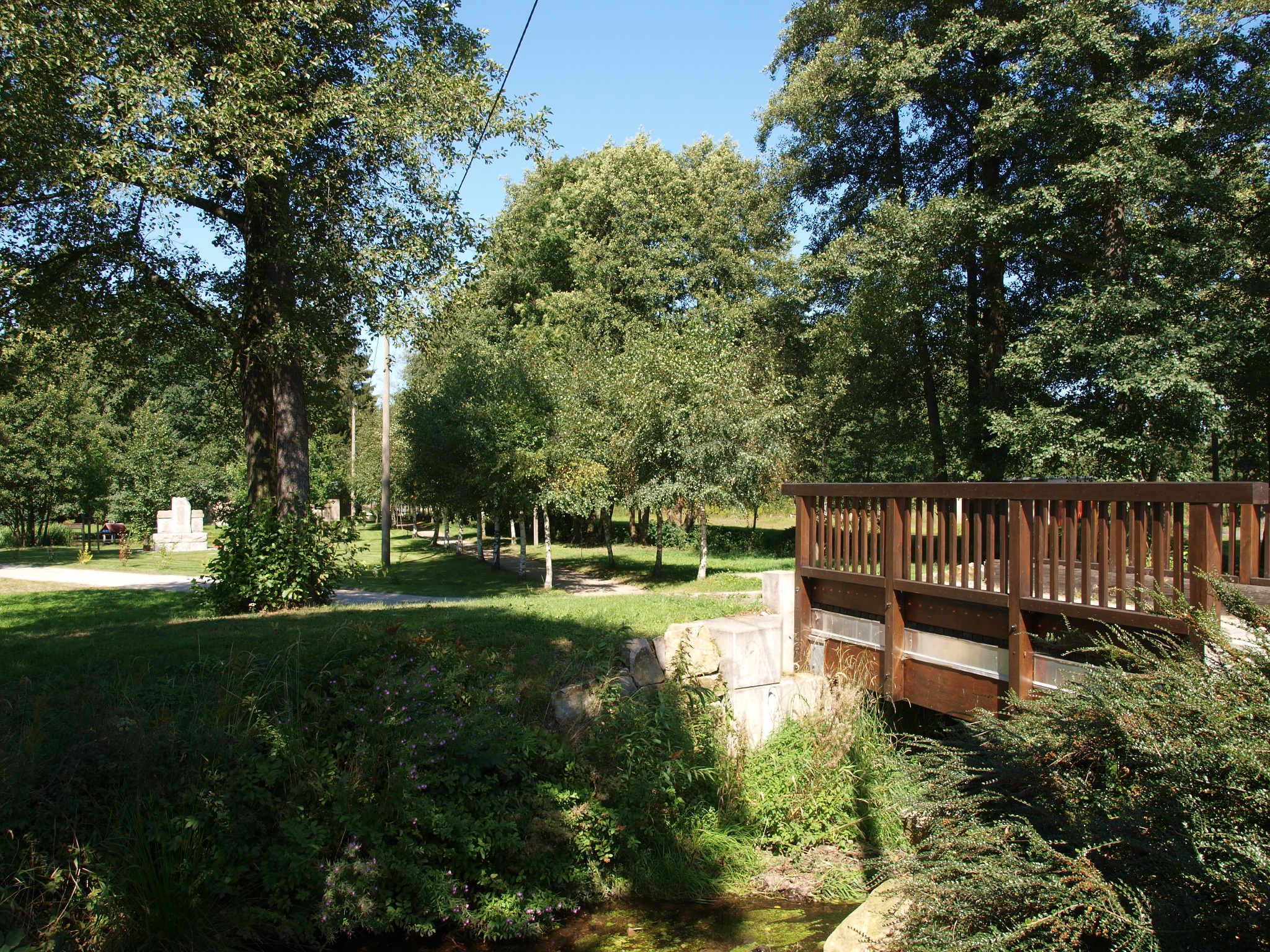 Wasserspielplatz mit Teichanlage Schönau bei Falkenstein – Motiv