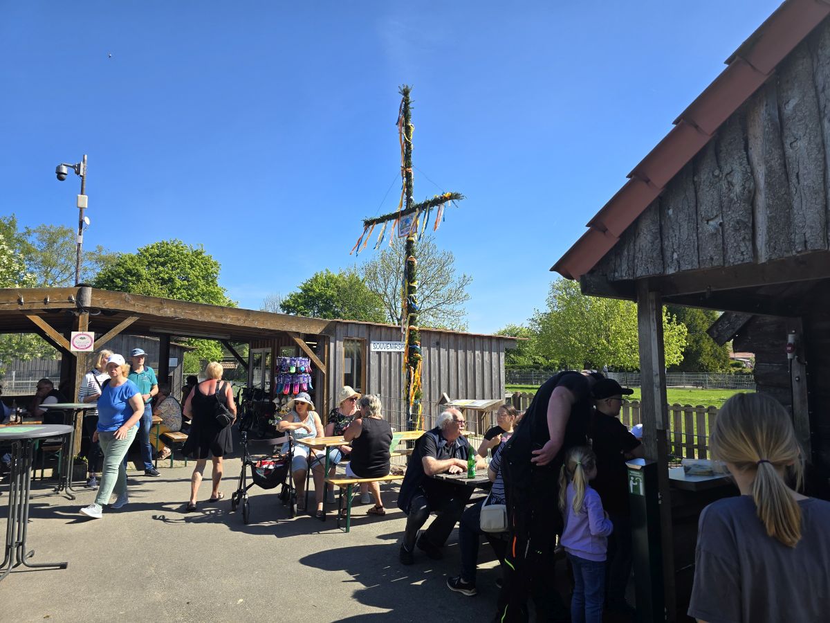 Maibaum-Frühschoppen