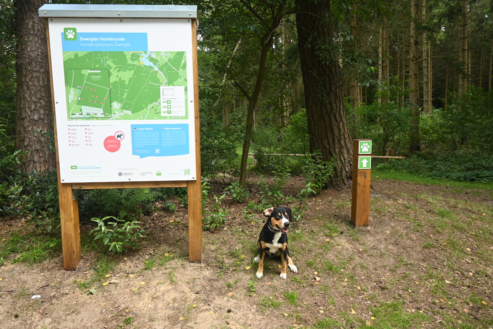 Dwergter Hunderunde