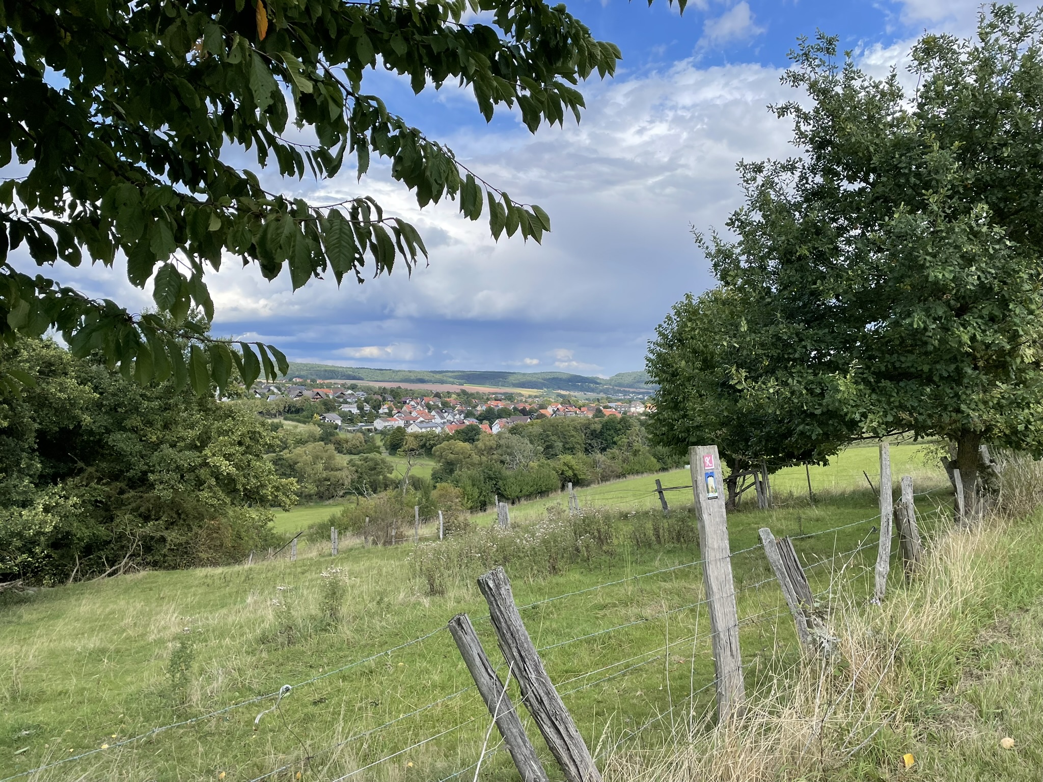 Kellerwaldsteig und Burg Löwenstein Weg bei Bad Zwesten