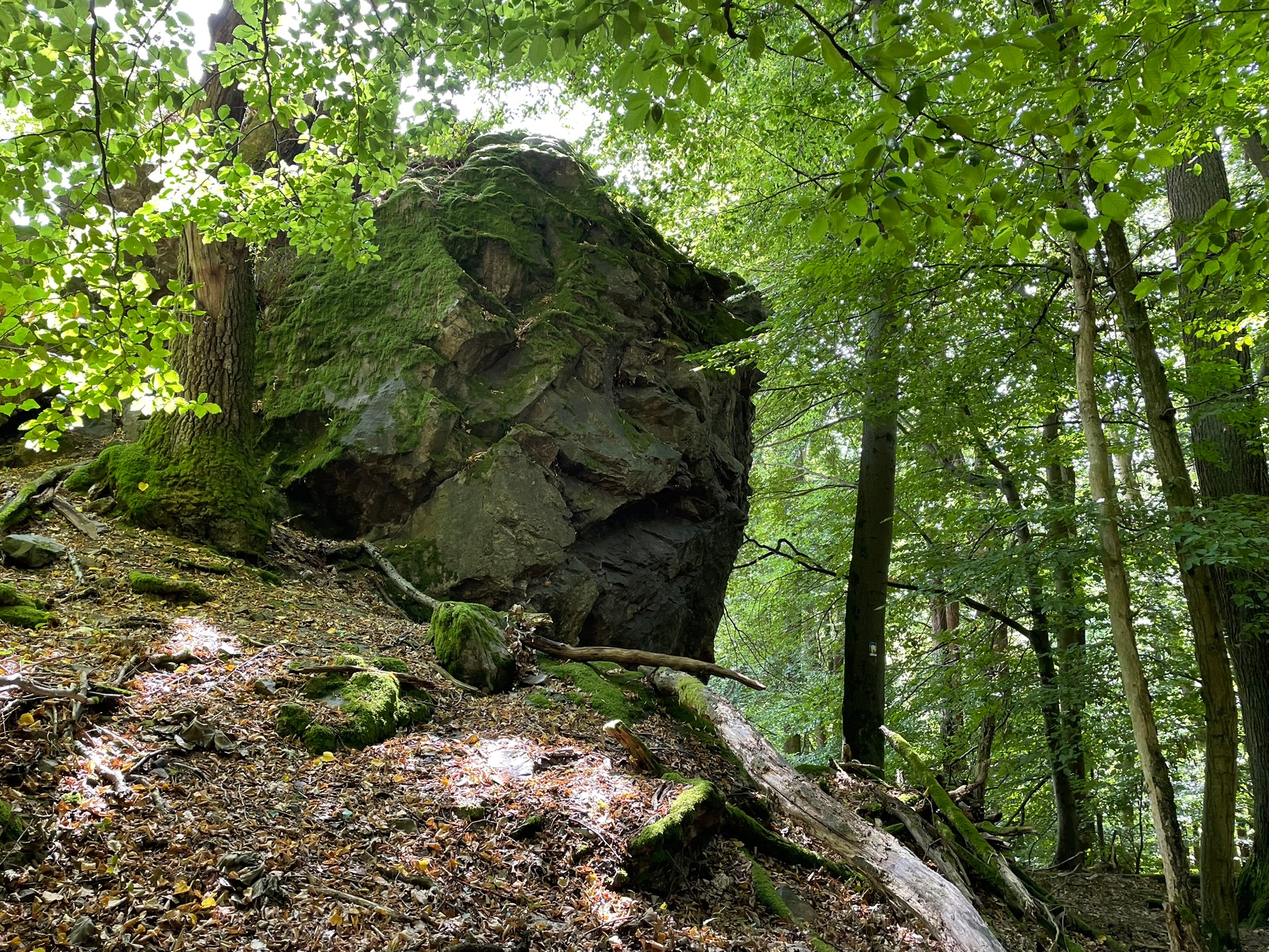 Felsformation am Burg Löwenstein Weg