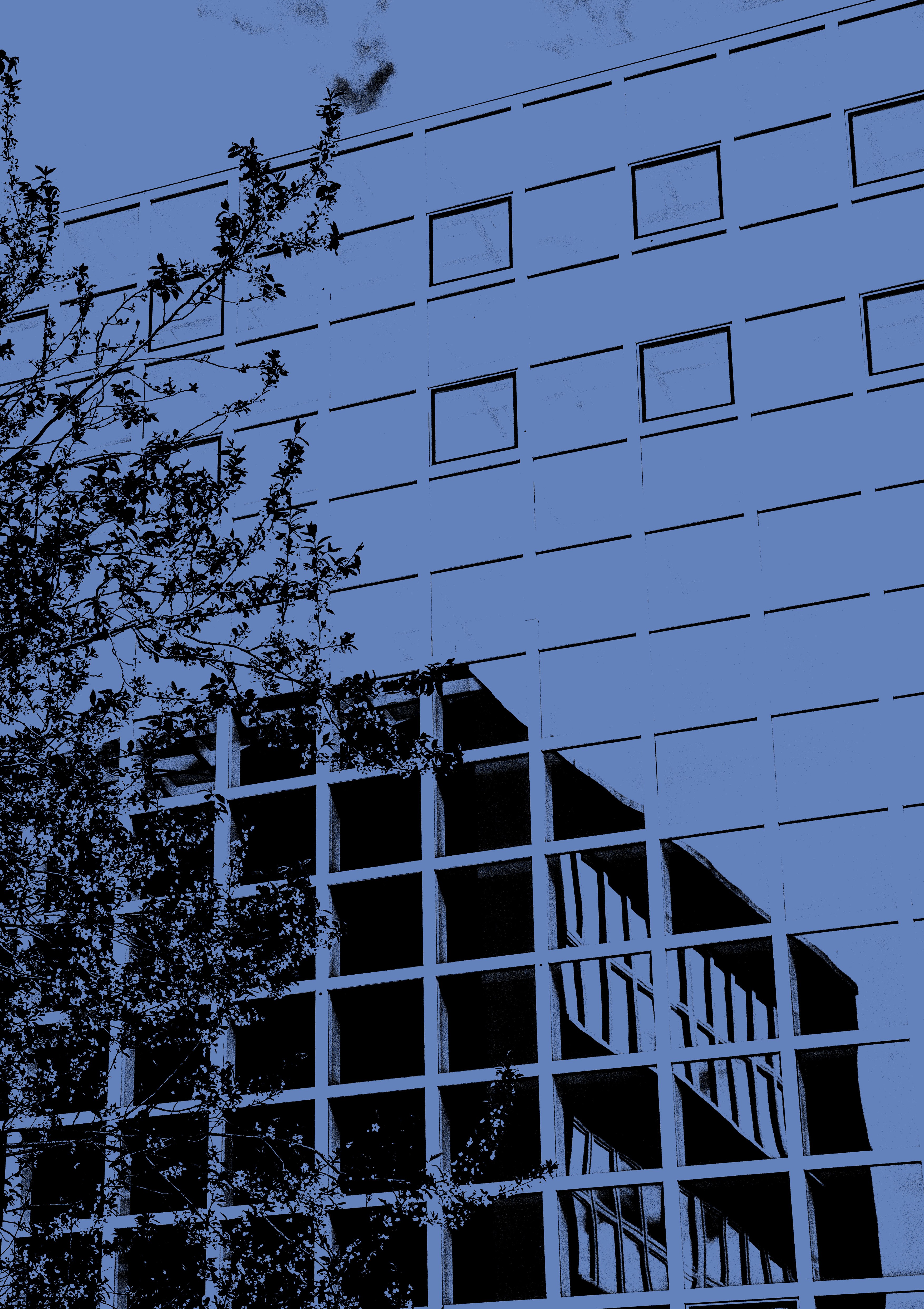 Finissage "Meisterschüler*innen der HBK Braunschweig 2025"