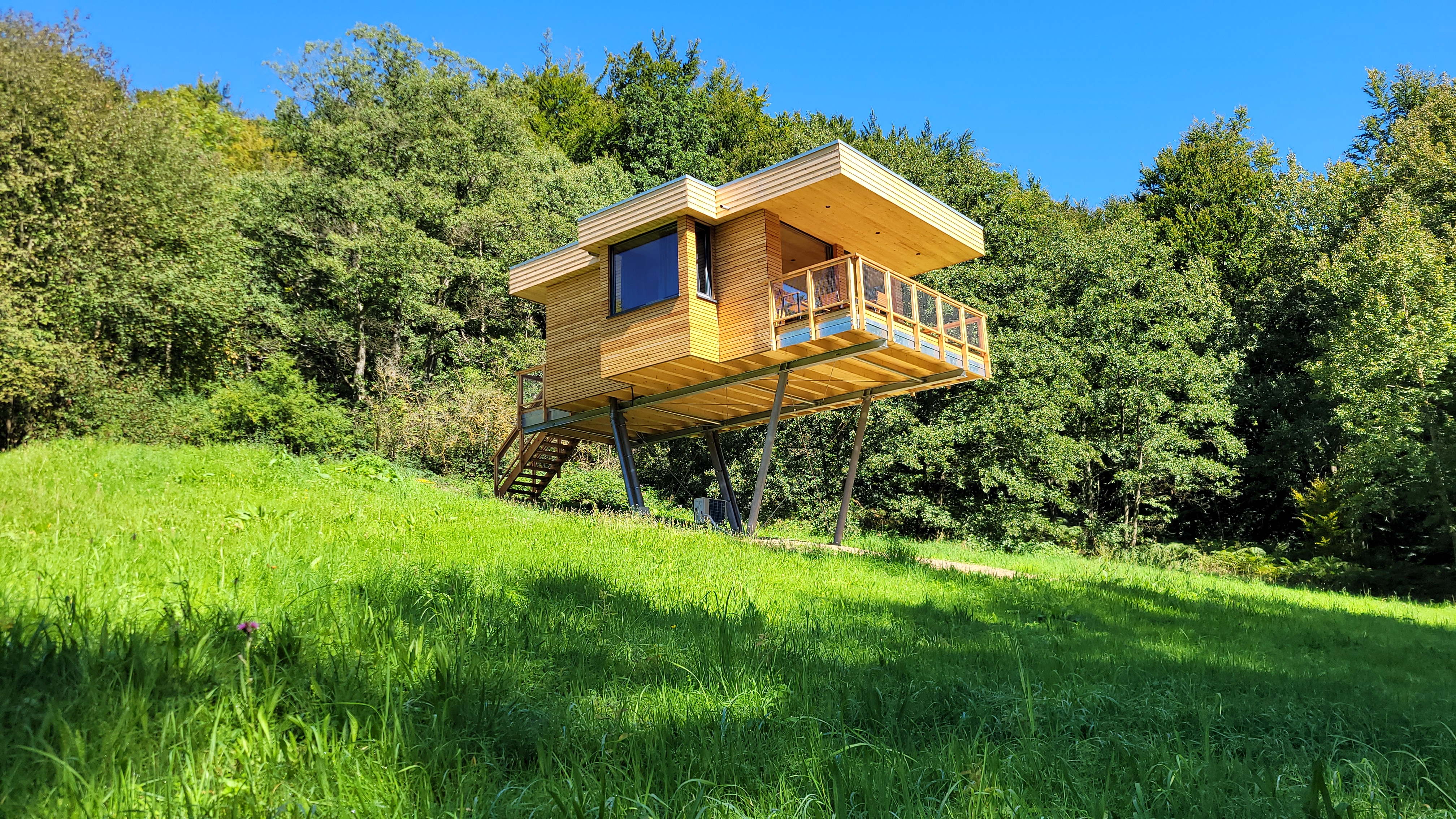 Baumhaus Aurora - Westansicht.jpg