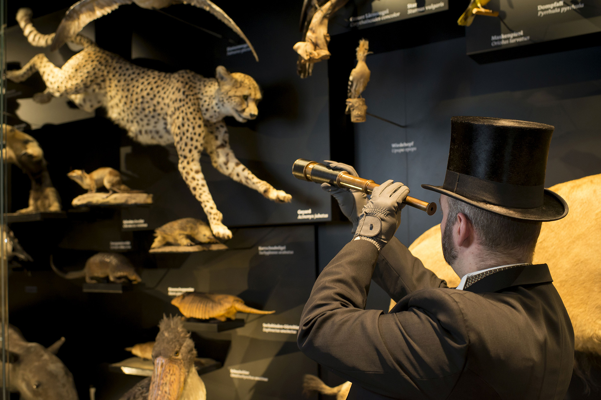 Im Schaumagazin – Auf den Spuren von Charles Darwin