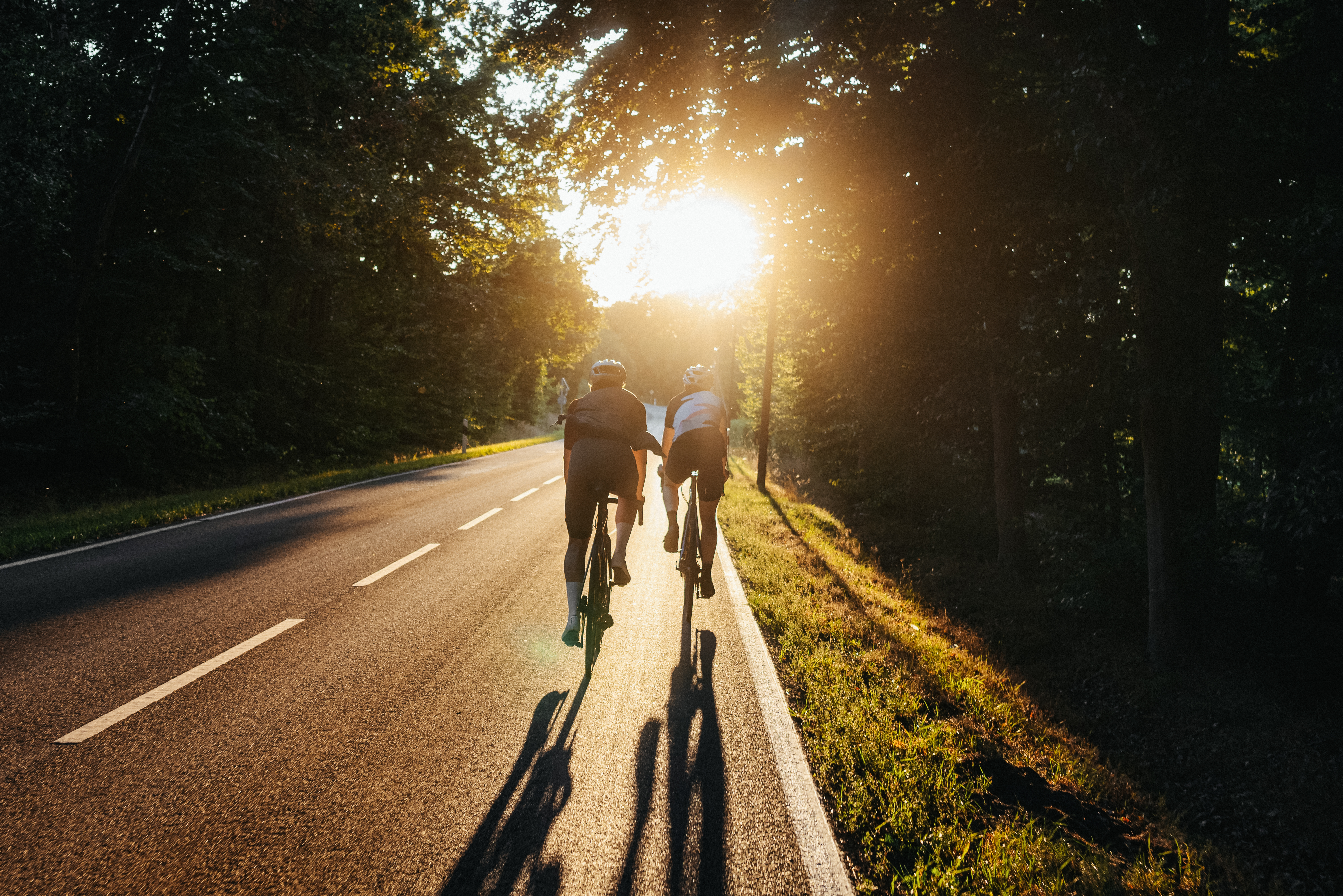 Rennradtour - Rundtour zum Dümmer