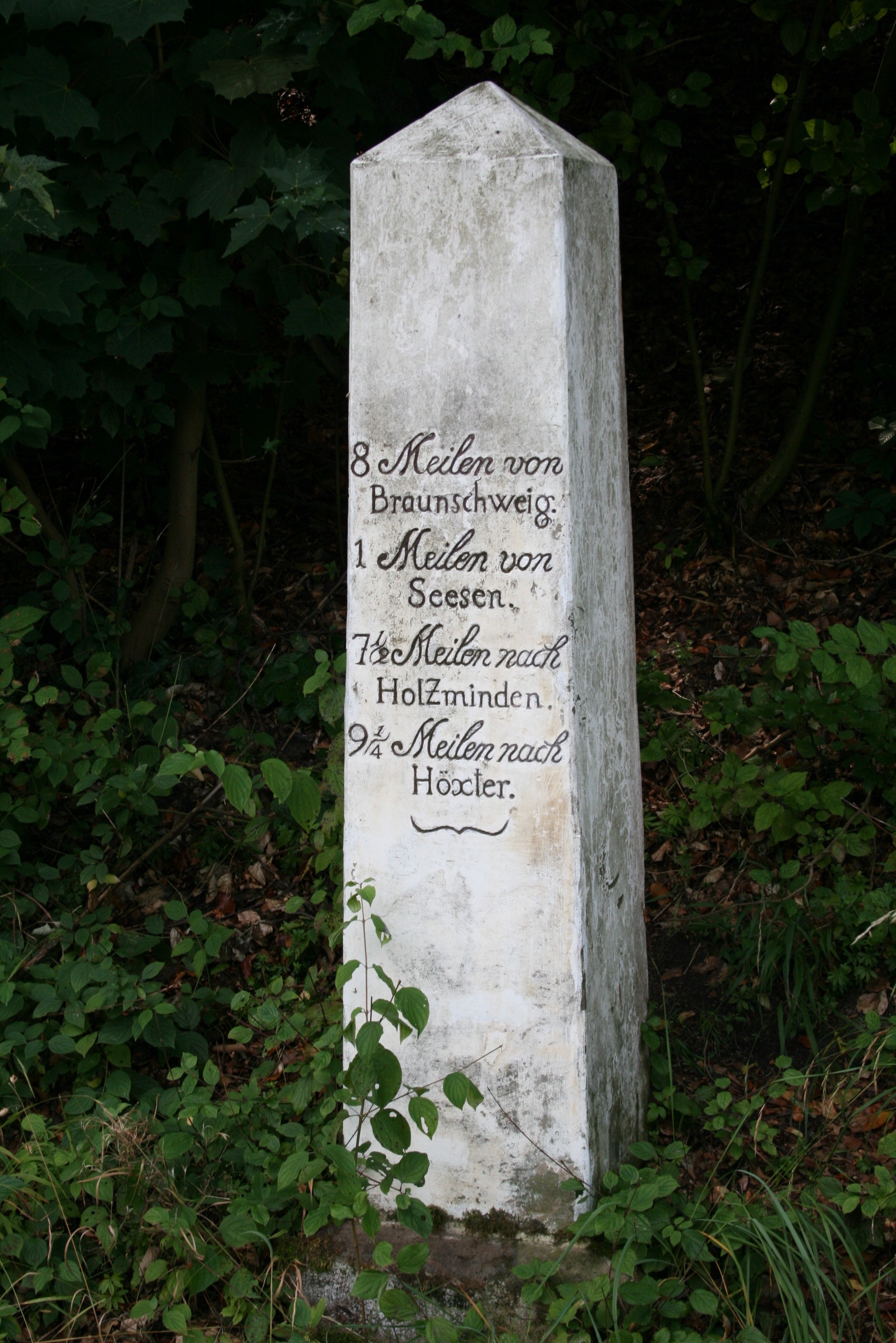 Dannhausens Meilenstein