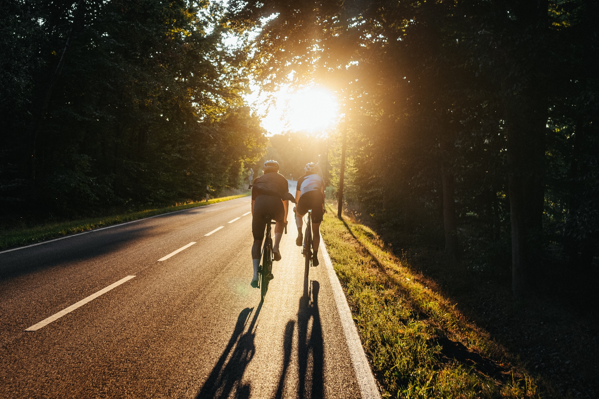 Rennradtour - Rundtour zum Dümmer