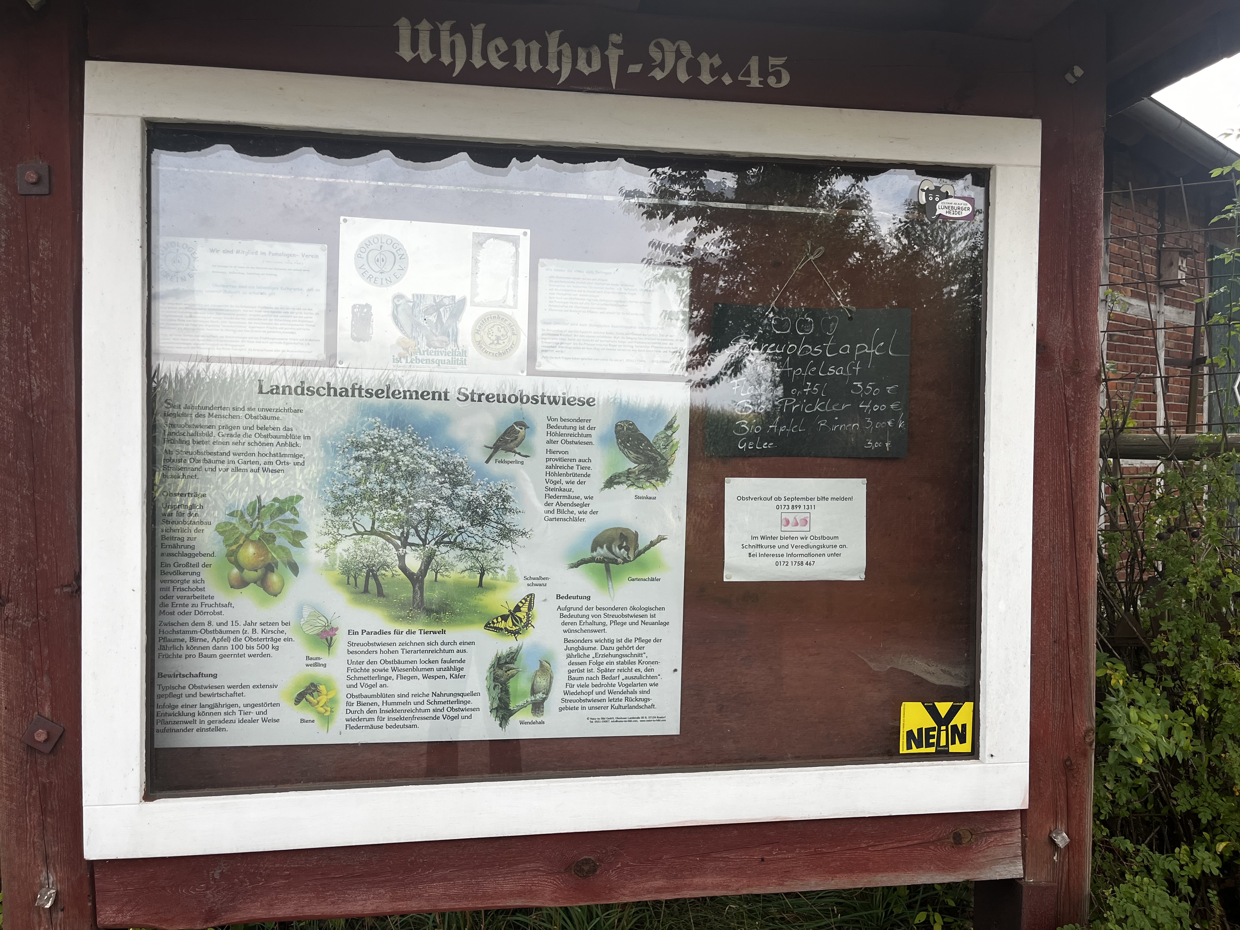 Streuobstwiese Baars Schneeheide