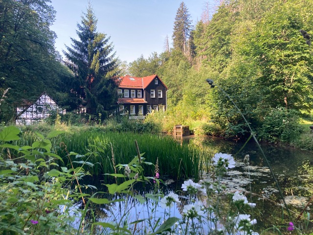 Wolfsbachmühle_Sommer.jpeg