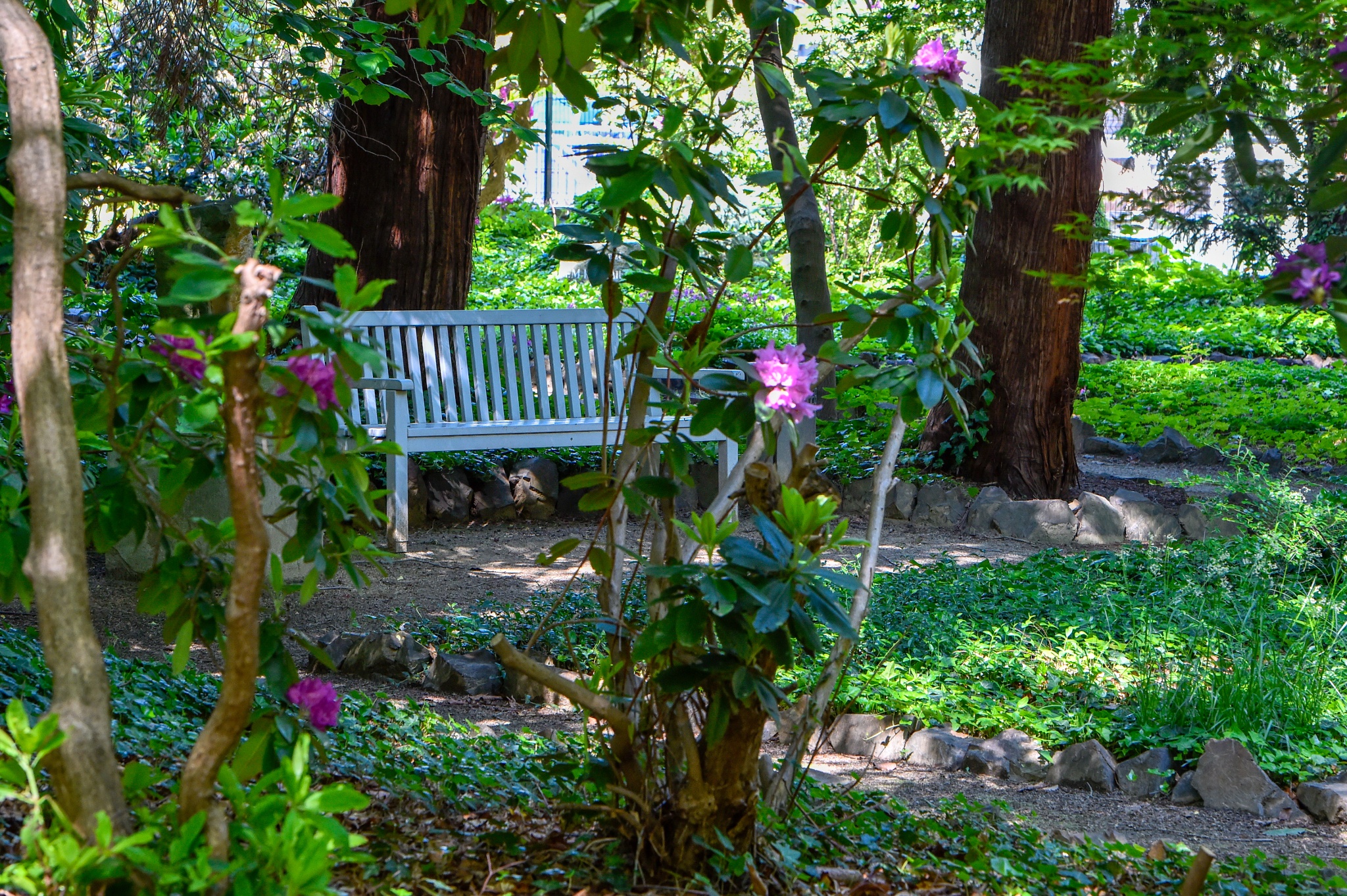 Wilhelm-Weiße-Garten Kamenz – Motiv