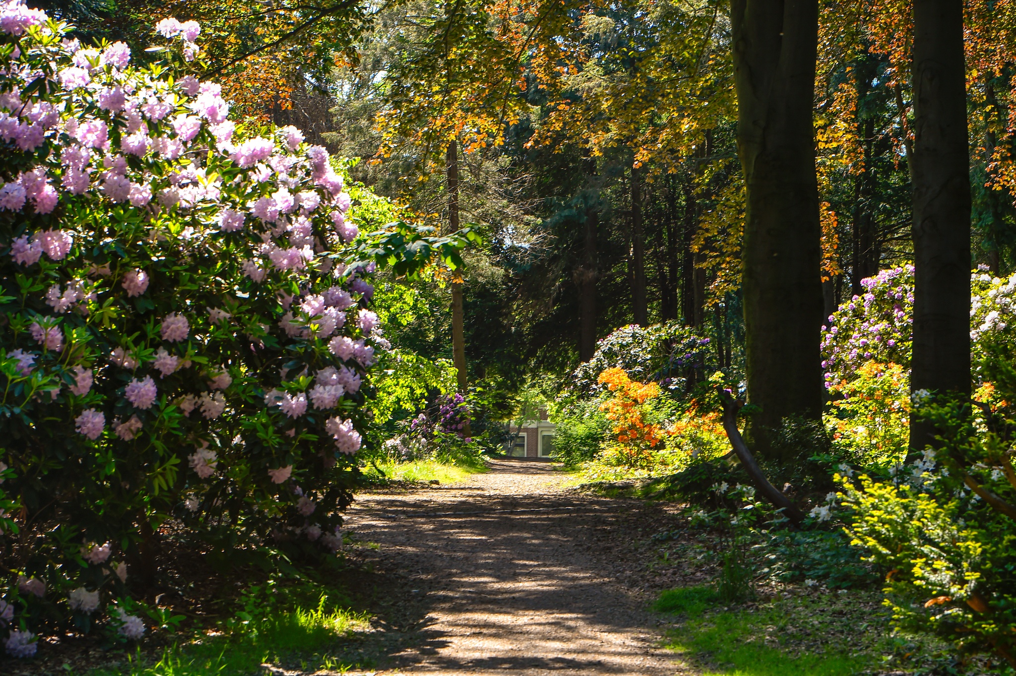 Volkspark Kamenz – Motiv