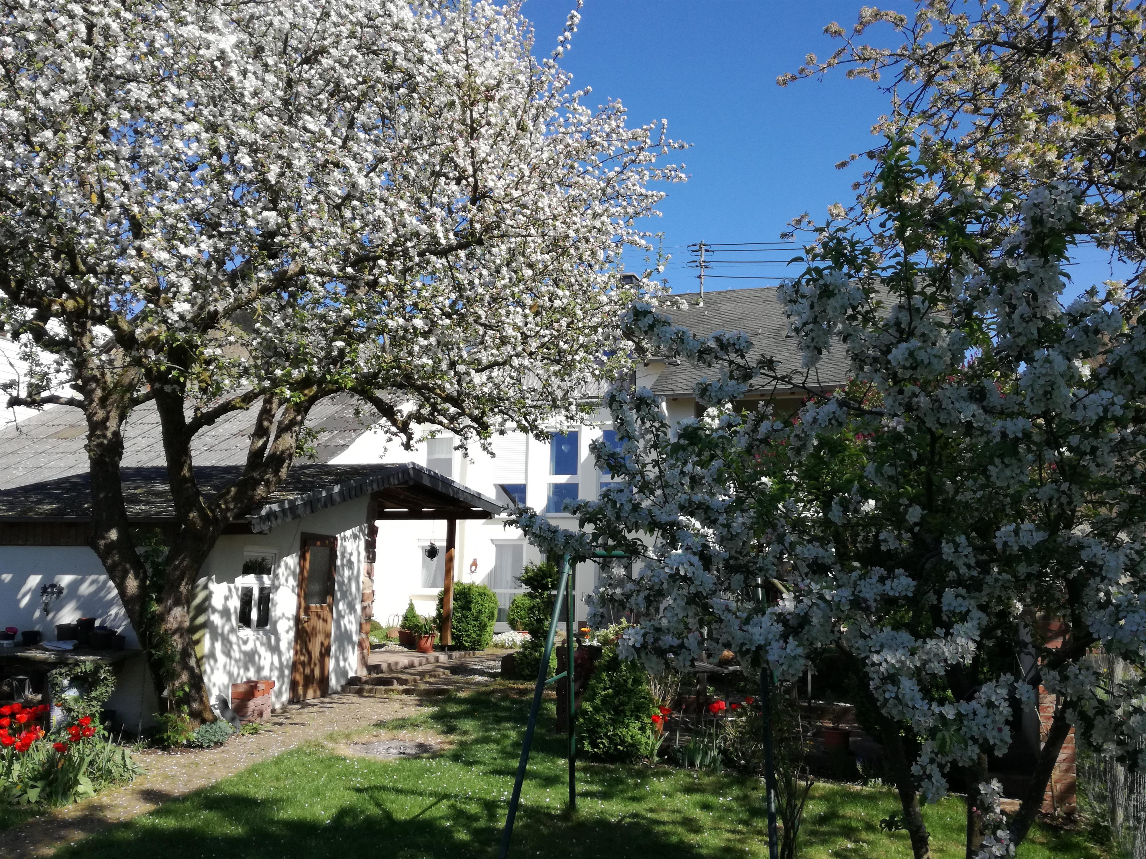 Gartenansicht Ferienwohnung